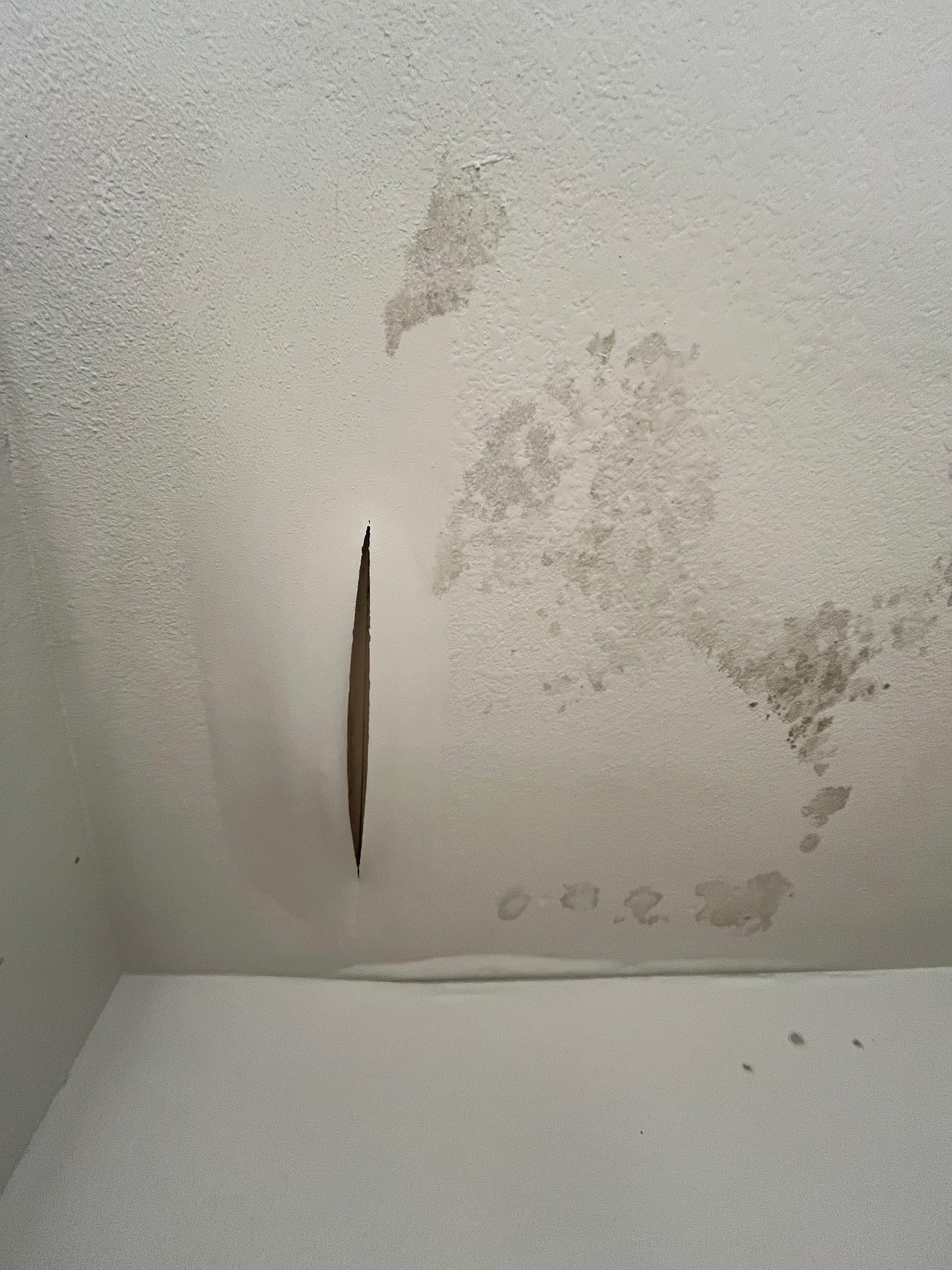 Room 227 Bathroom Ceiling, pic 1 - dangling popped bubble and mold