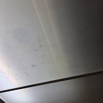 Bugs in light in elevator