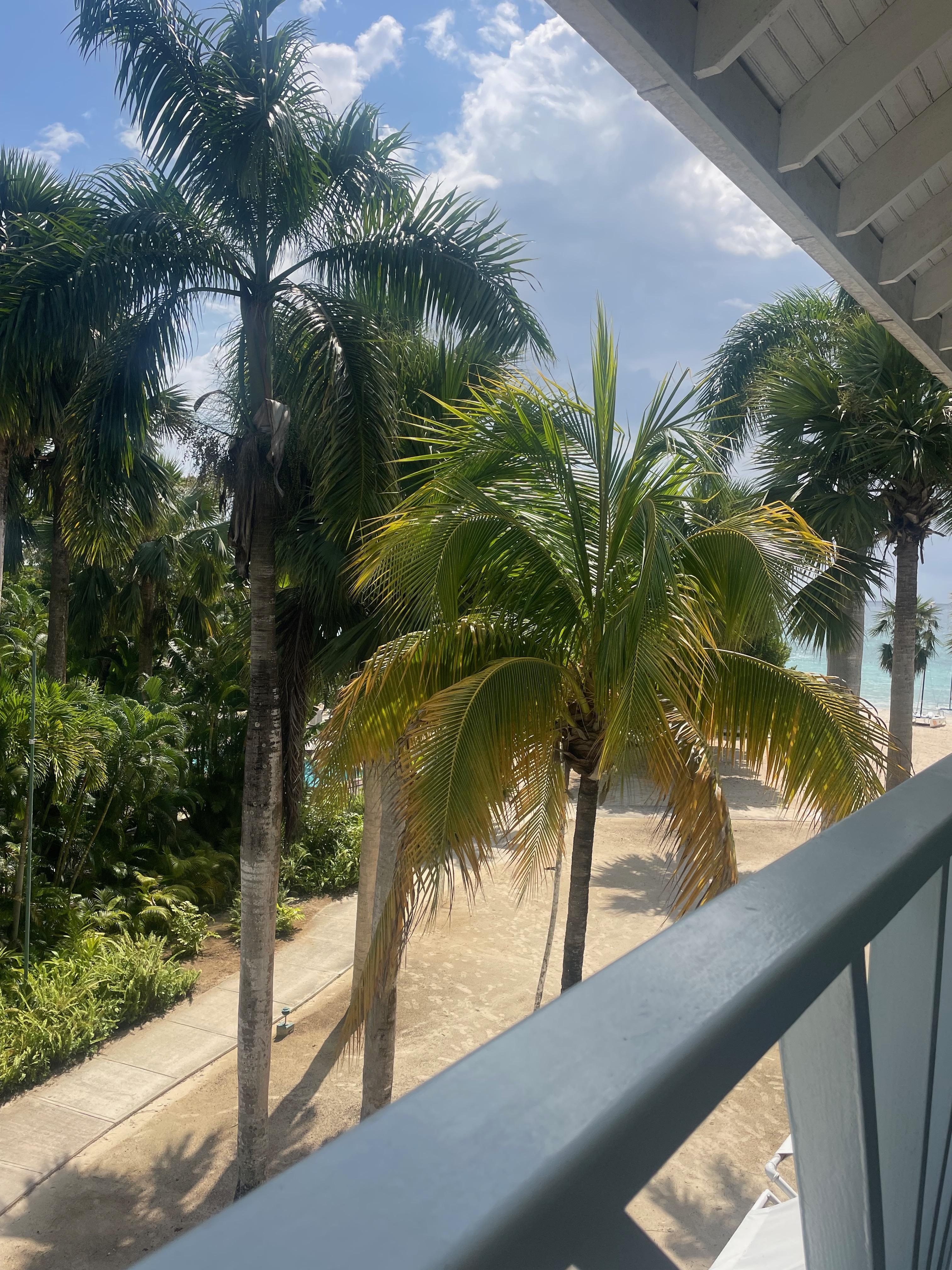 "deluxe ocean view"