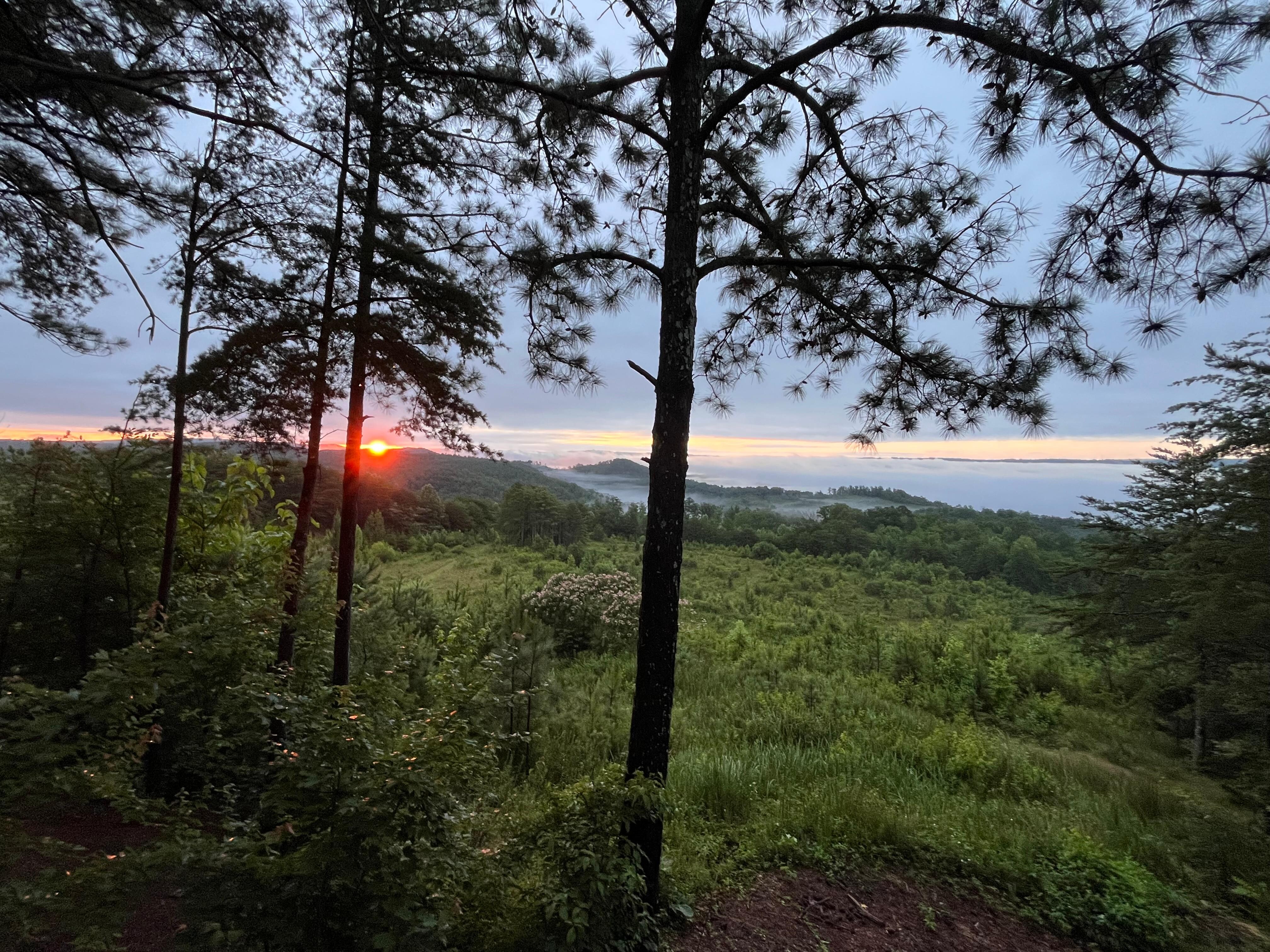 Gorgeous sunrise from porch