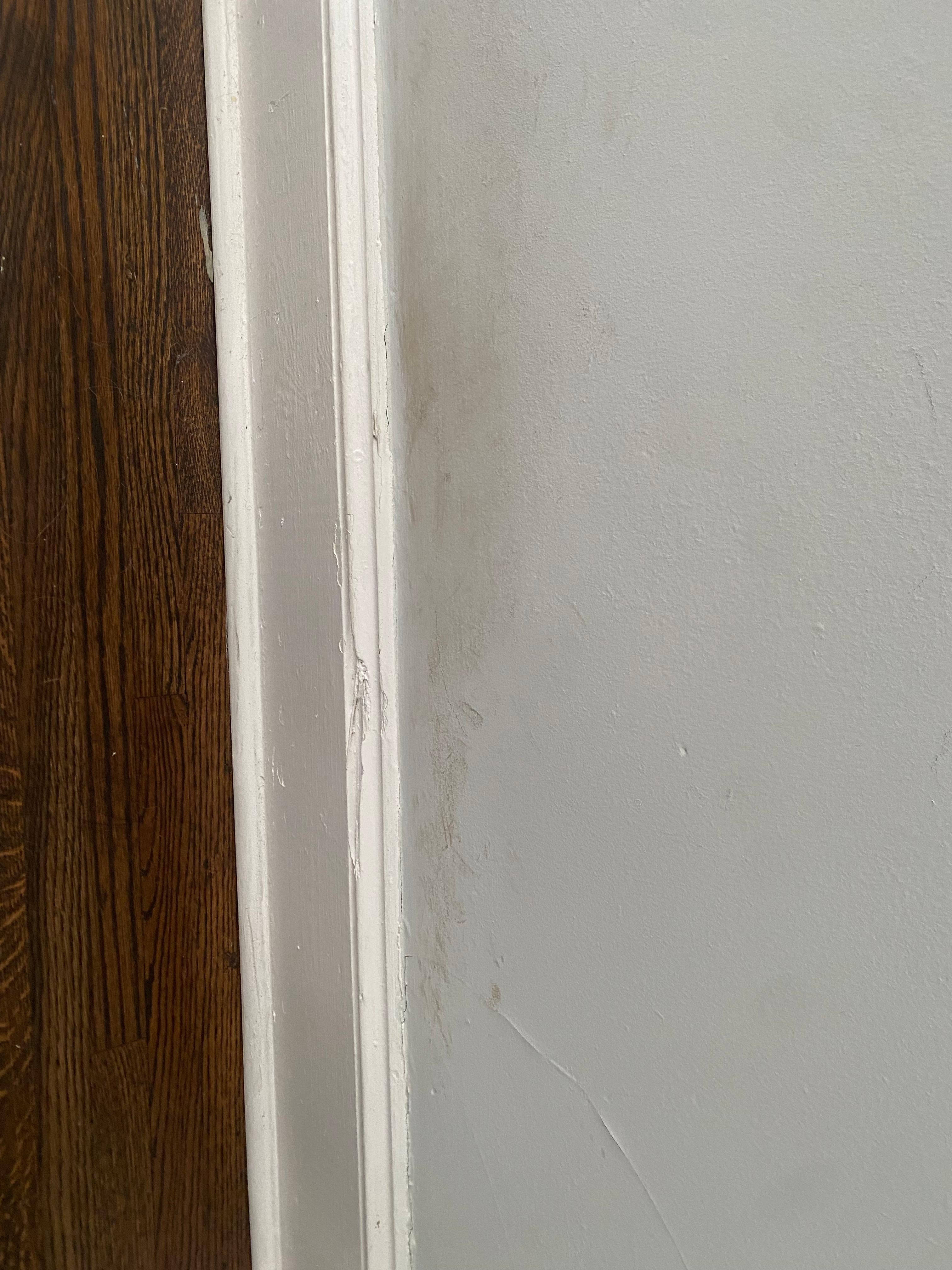 Dirt or mold