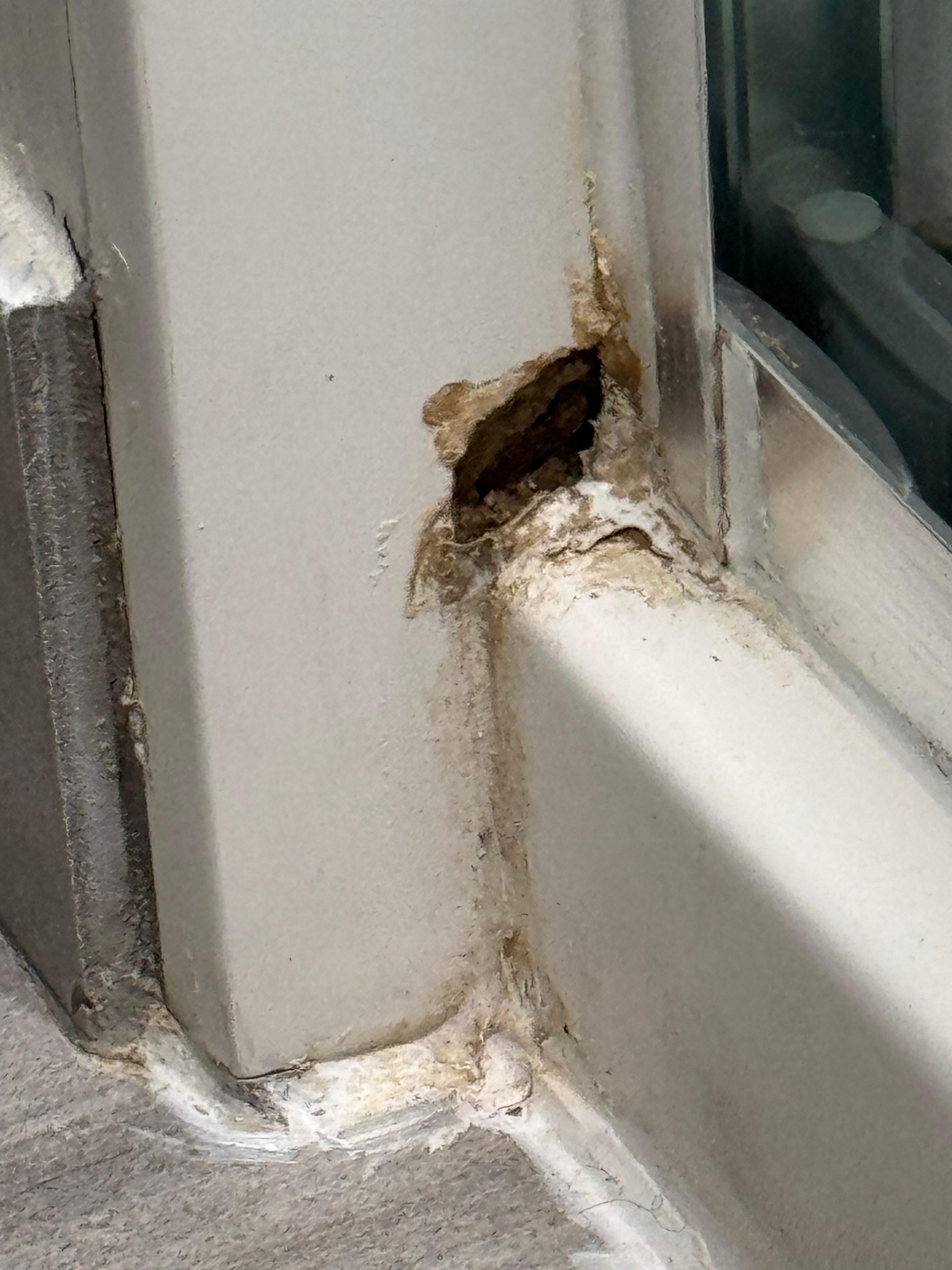 Rust hole and stain is on shower 