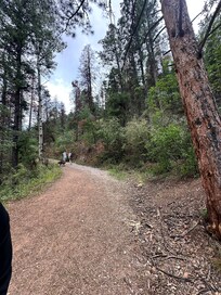 Trail across the street from cabin