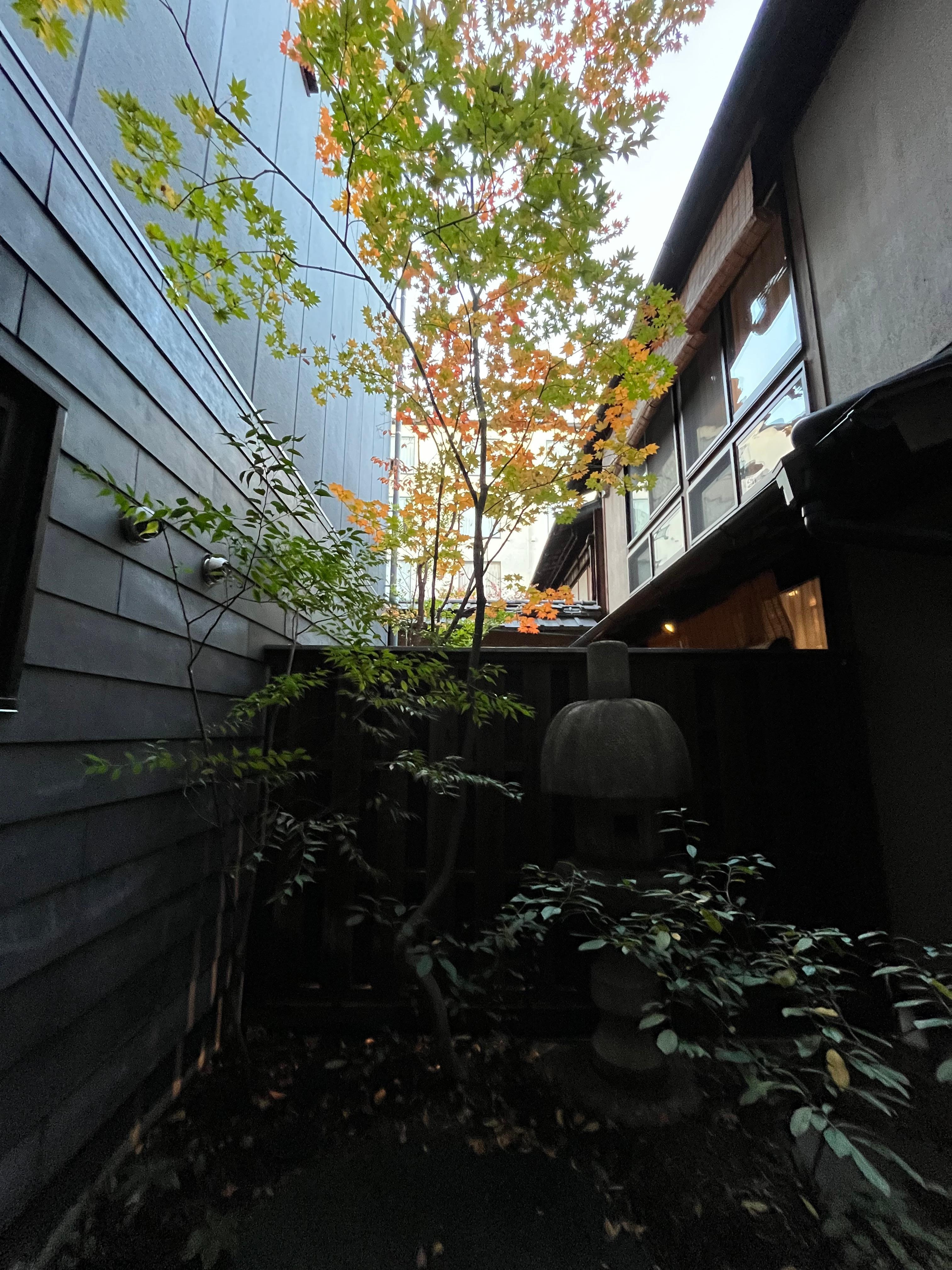 中庭です。
すてきでした。