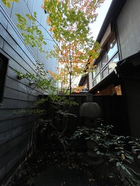 中庭です。
すてきでした。