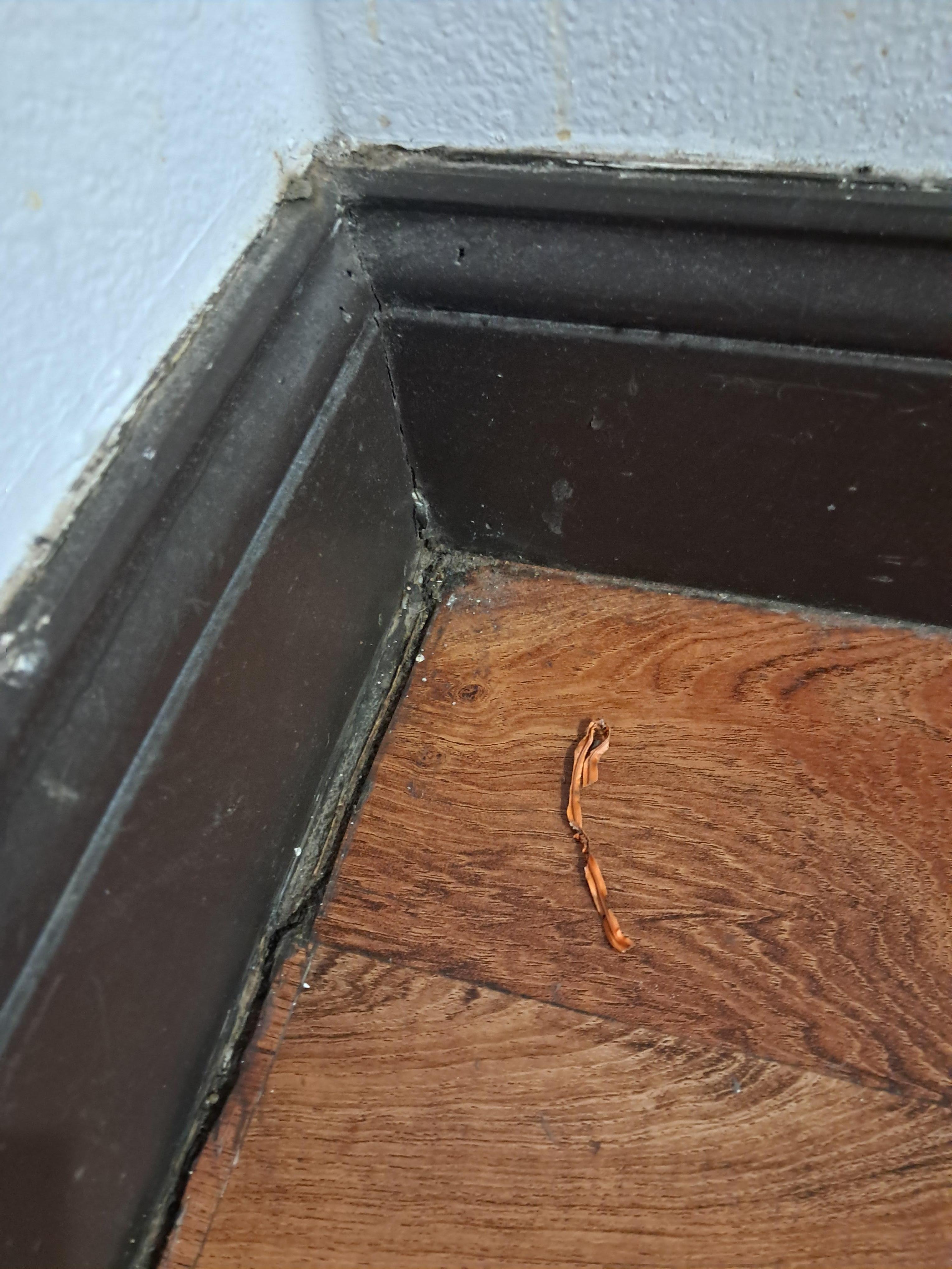 Floors were dirty and my shoes were sticking to the floor