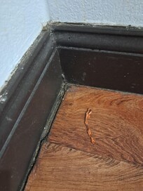 Floors were dirty and my shoes were sticking to the floor