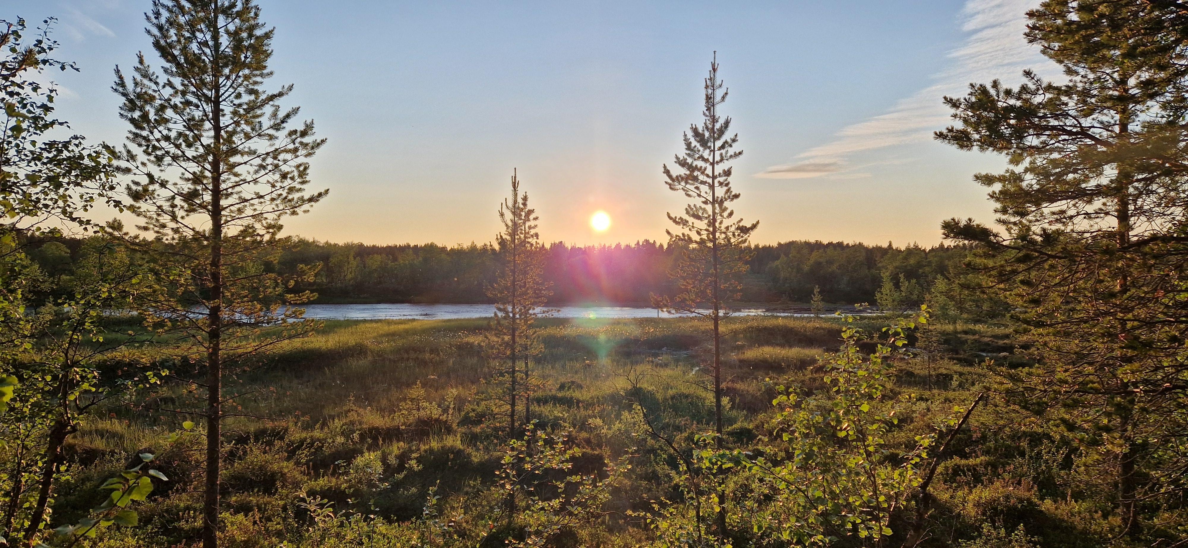 Yöttömän yön näkymä Kielajoelle luontopolulta