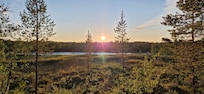 Yöttömän yön näkymä Kielajoelle luontopolulta