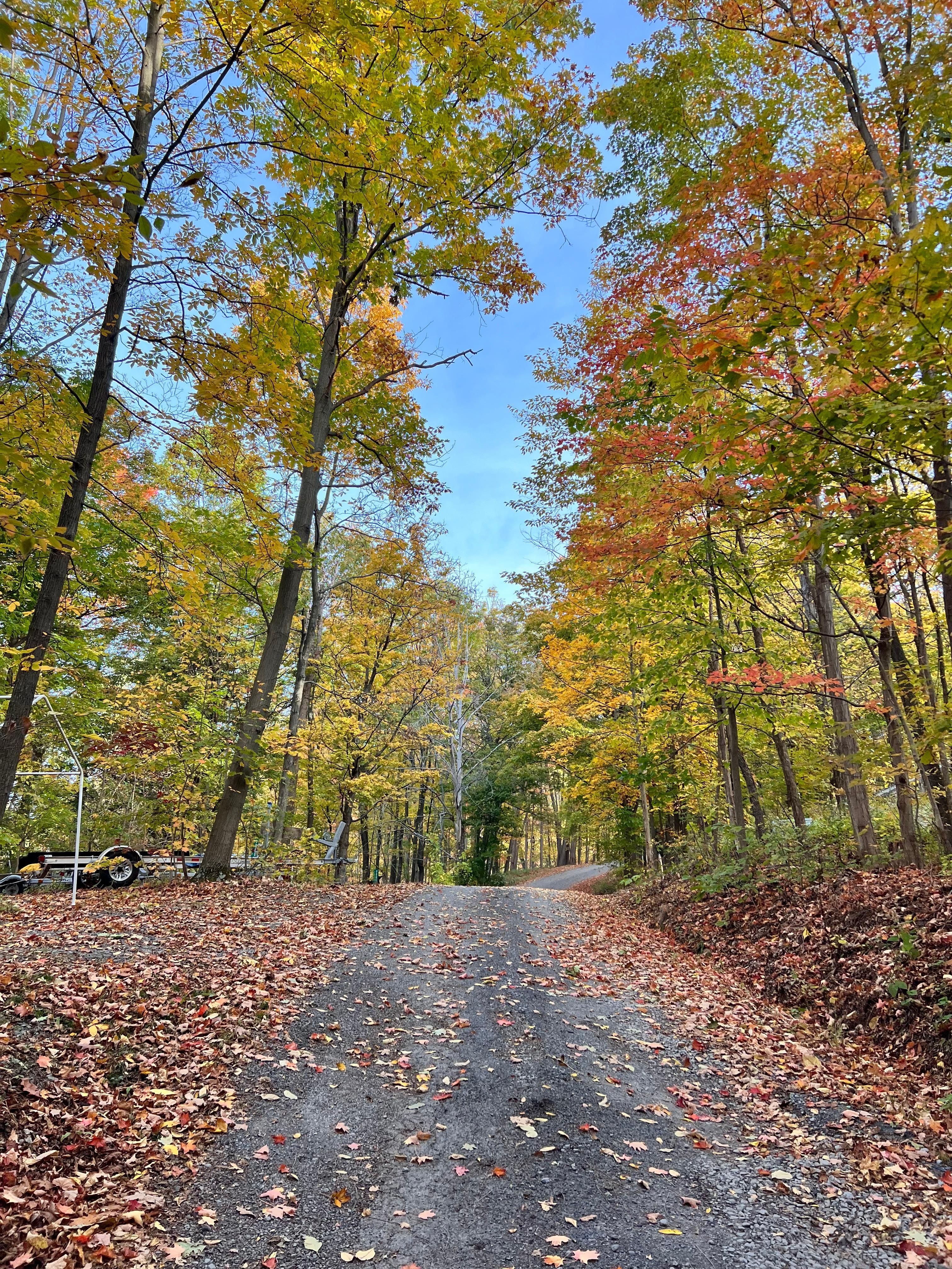 Road leading to location 