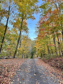 Road leading to location