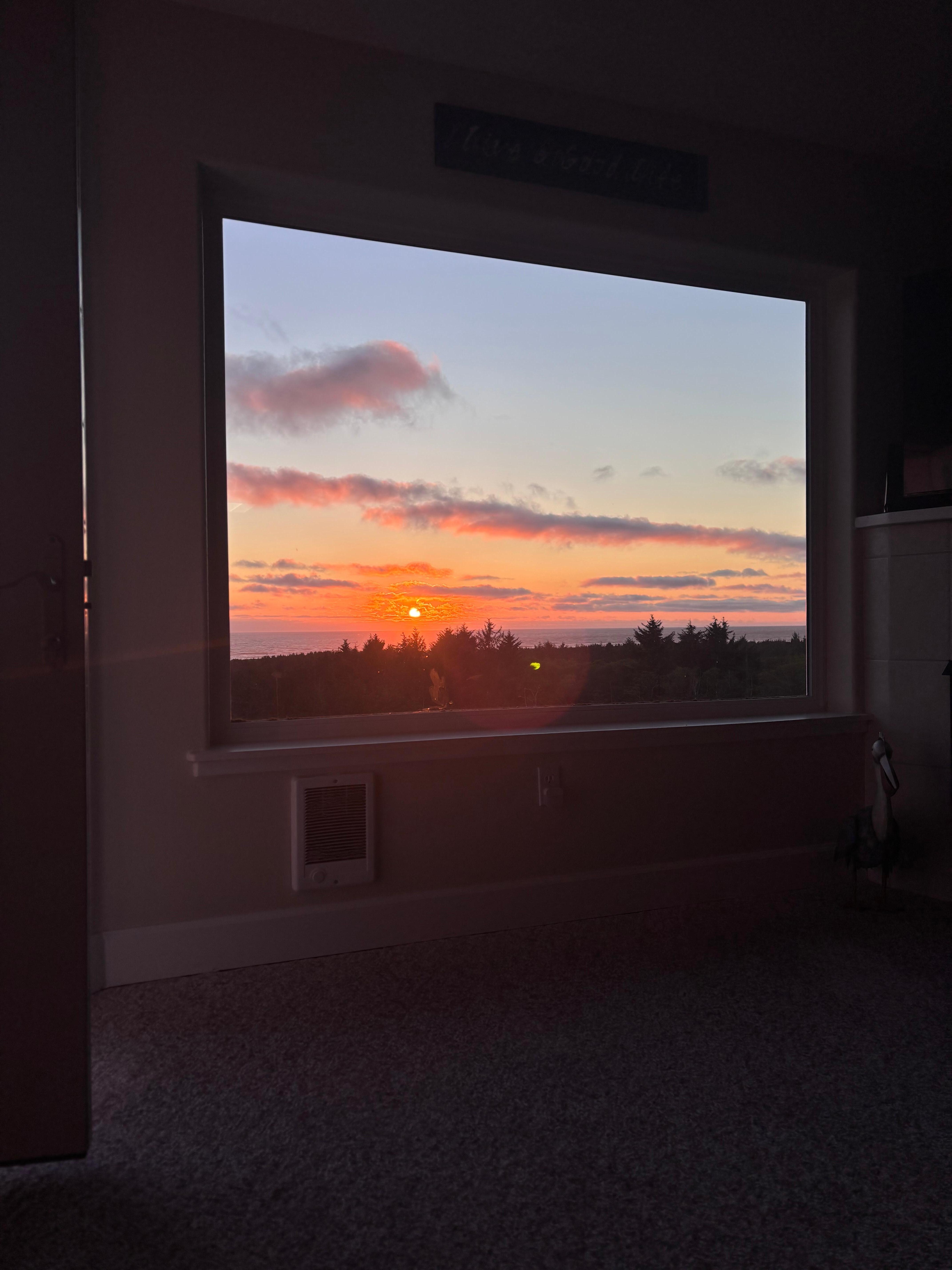 View from the kitchen table 