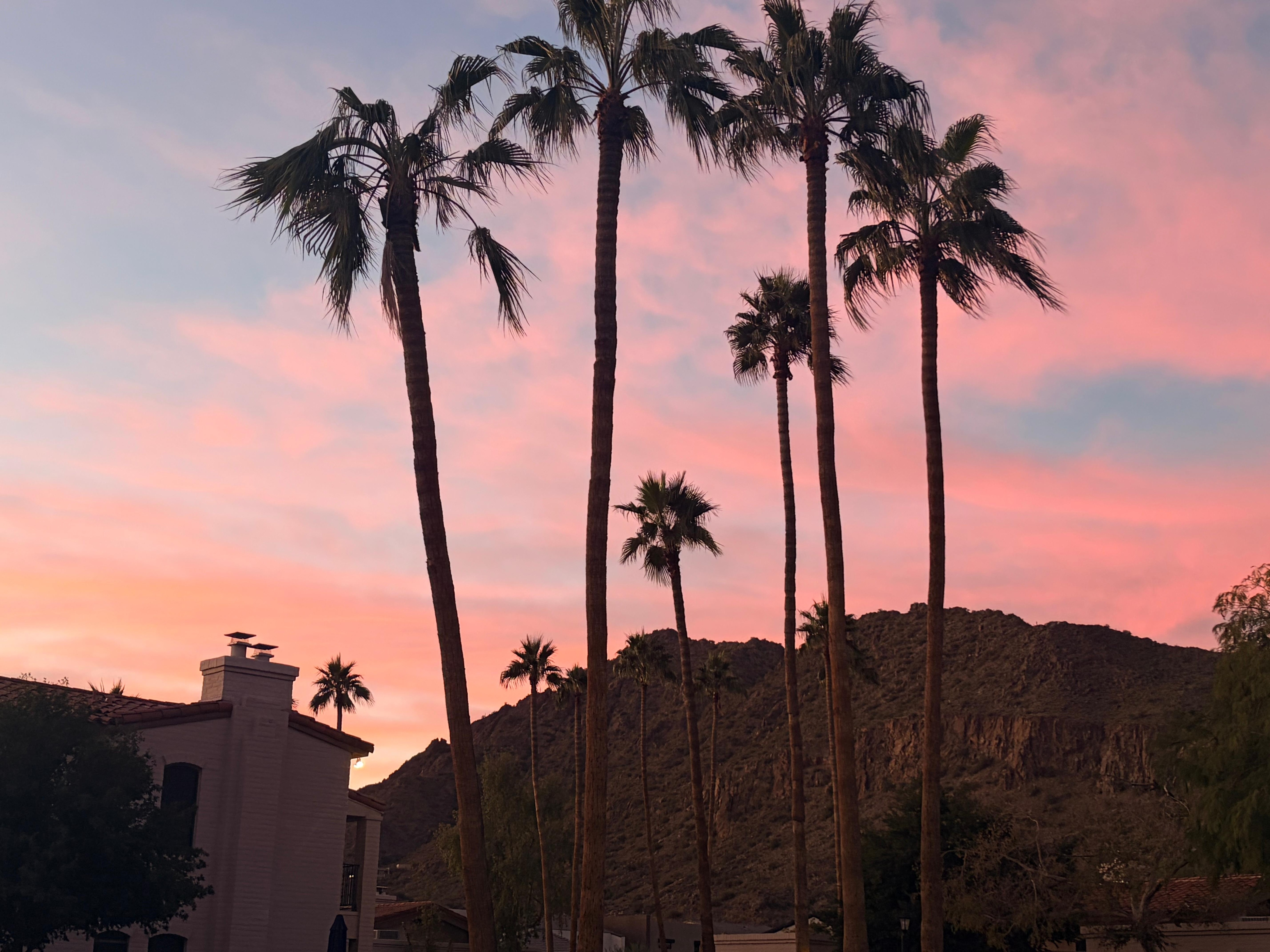 View of Camelback from the trail 