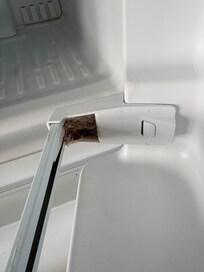 Mold in refrigerator