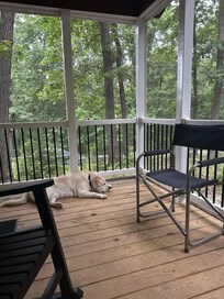 Ozzie liked relaxing with me on the screened porch