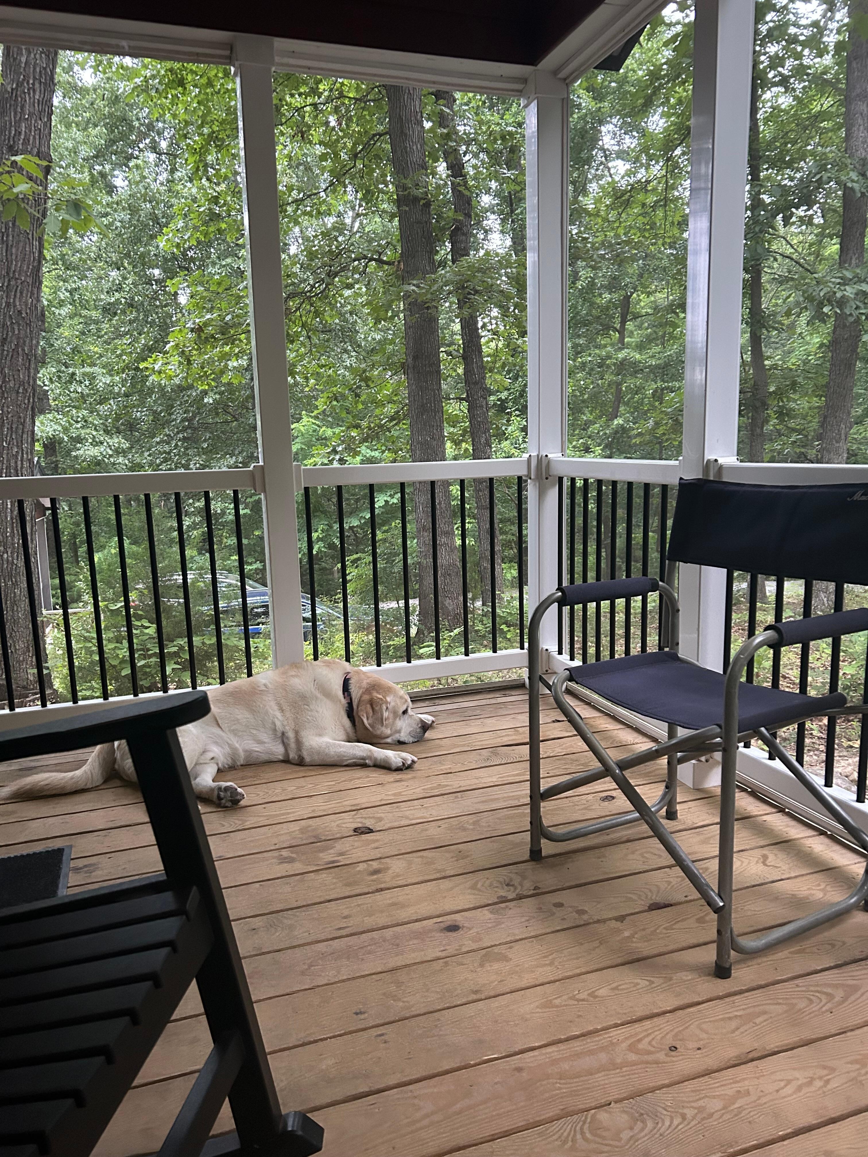 Ozzie liked relaxing with me on the screened porch
