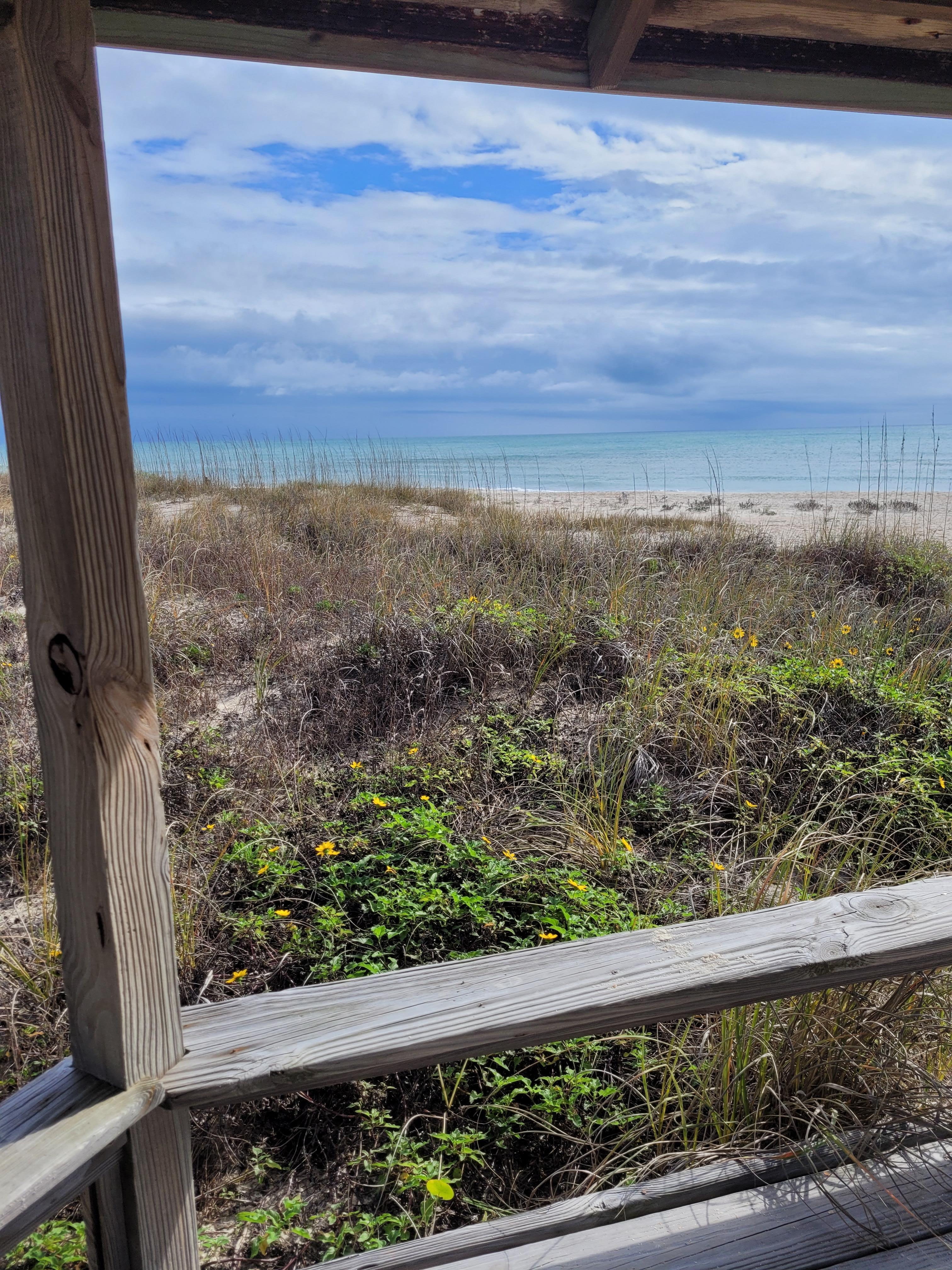 View from the gazebo.