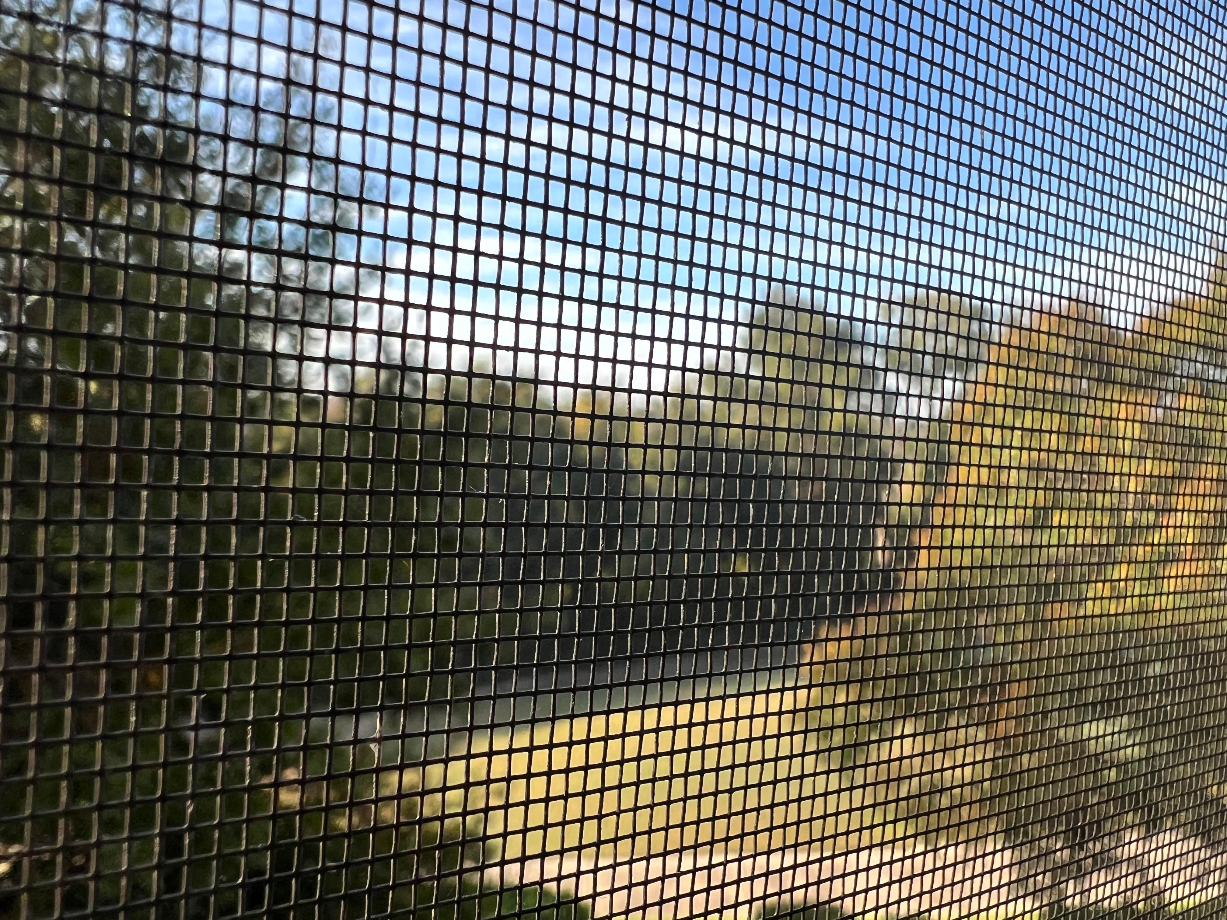 Turkey’s off lanai. 