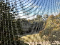 Turkey’s off lanai.