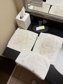 Soiled hand towels in bathroom upon arrival.