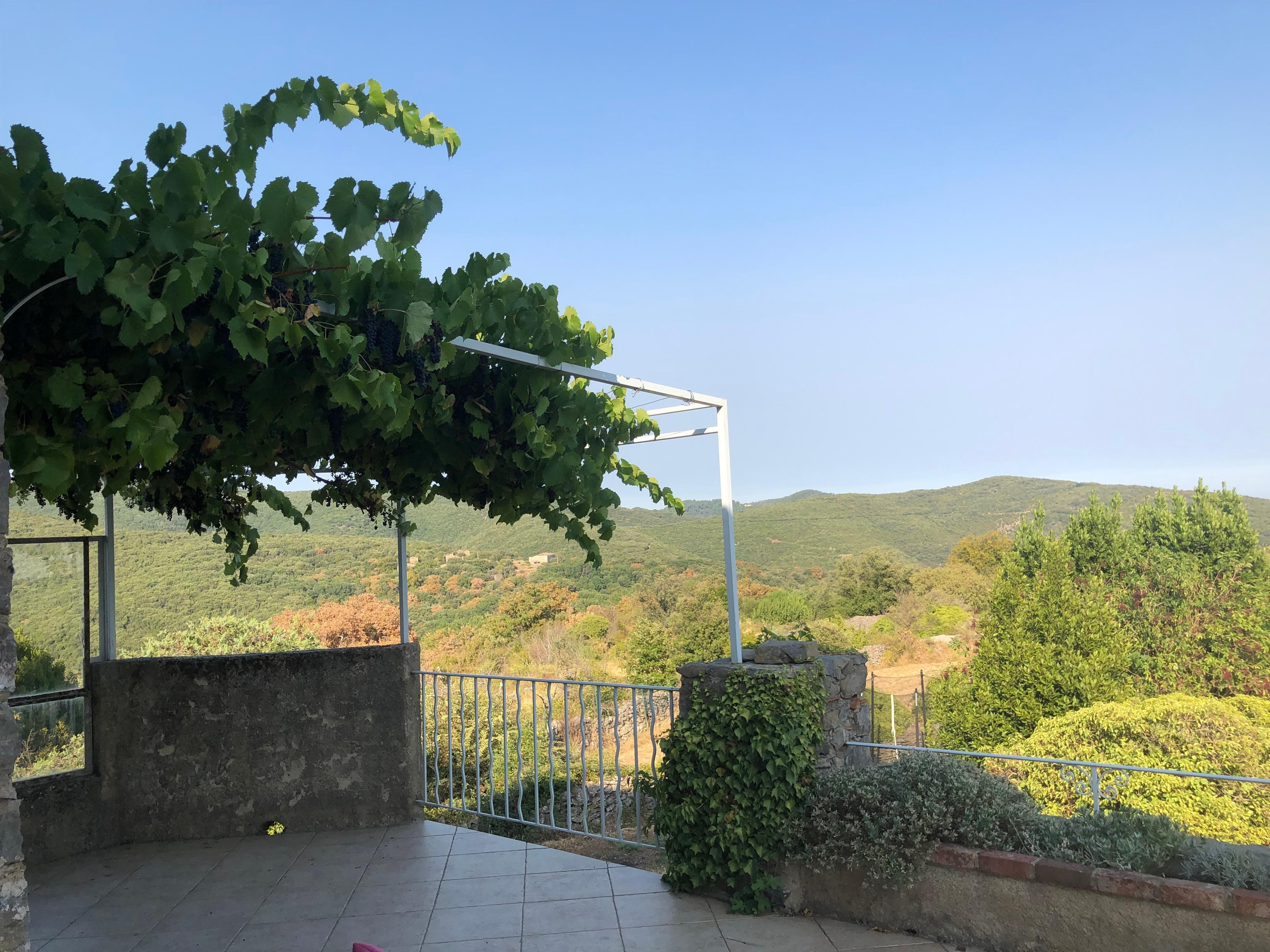 Vue de la grande terrasse 