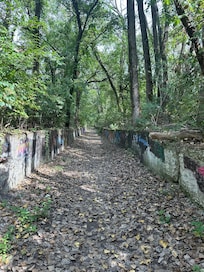Nature Trail on an Island