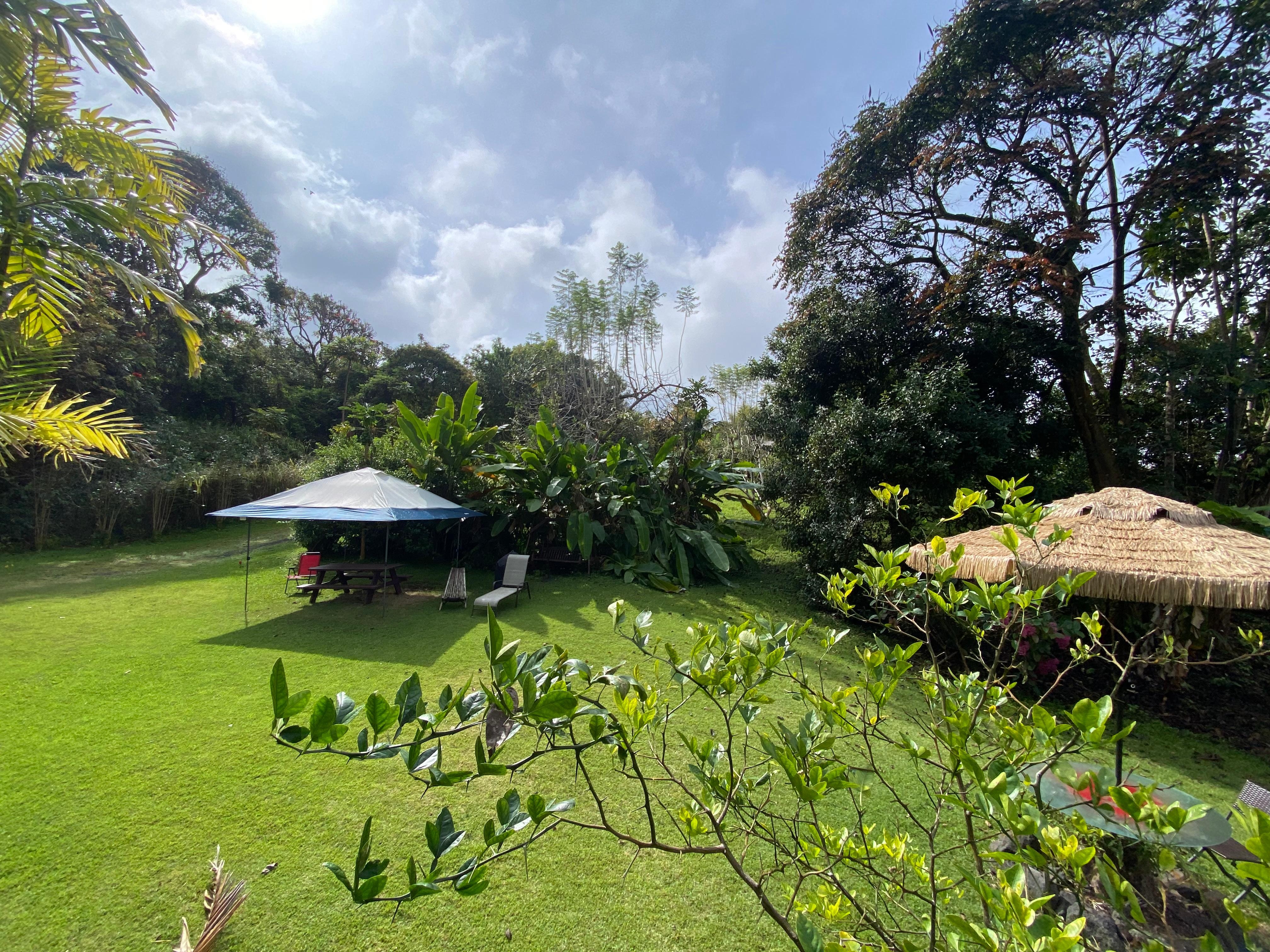 View from cabin steps