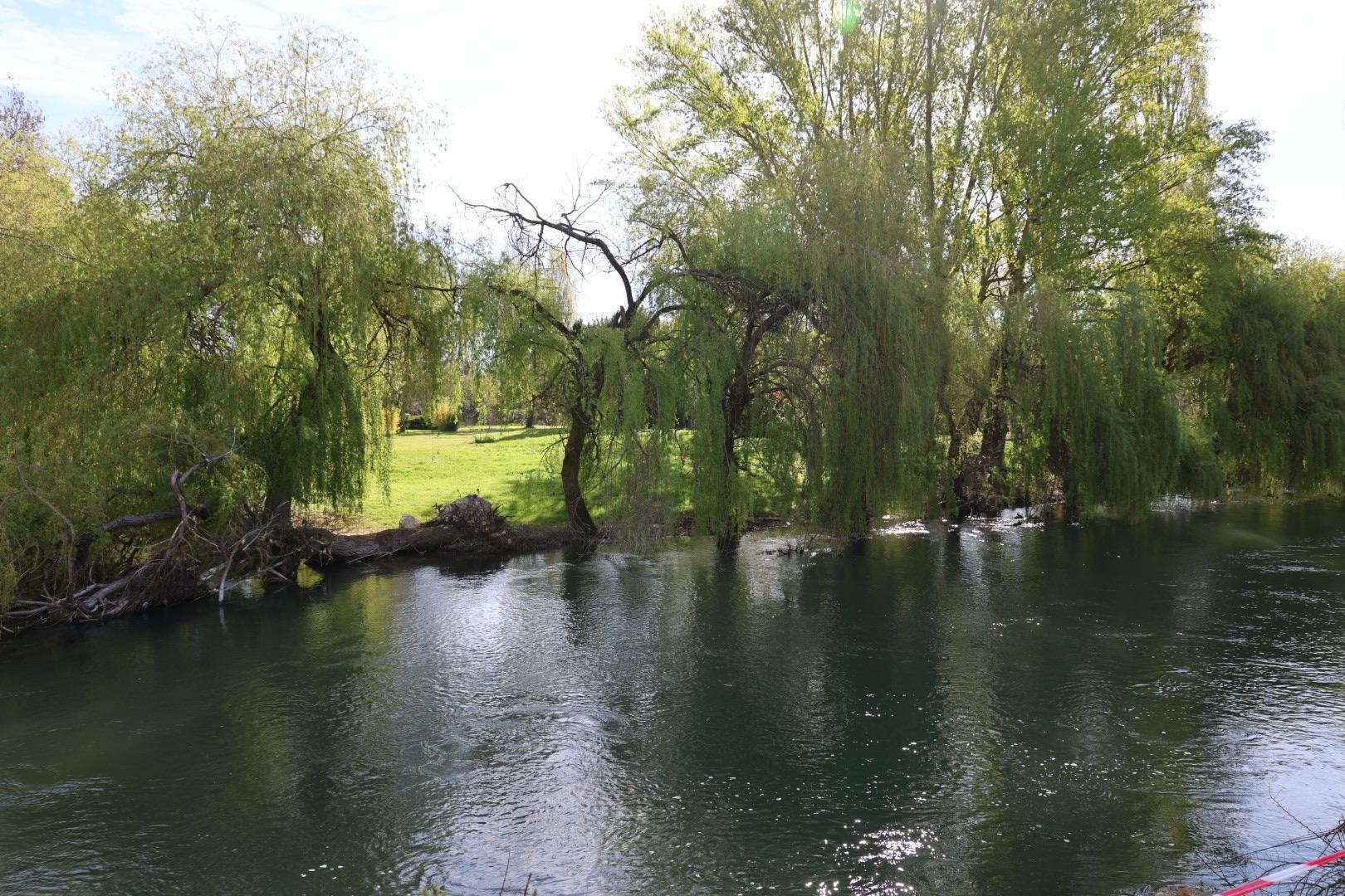 View from outside the apartment of the river 