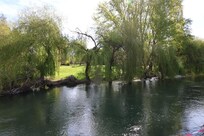 View from outside the apartment of the river