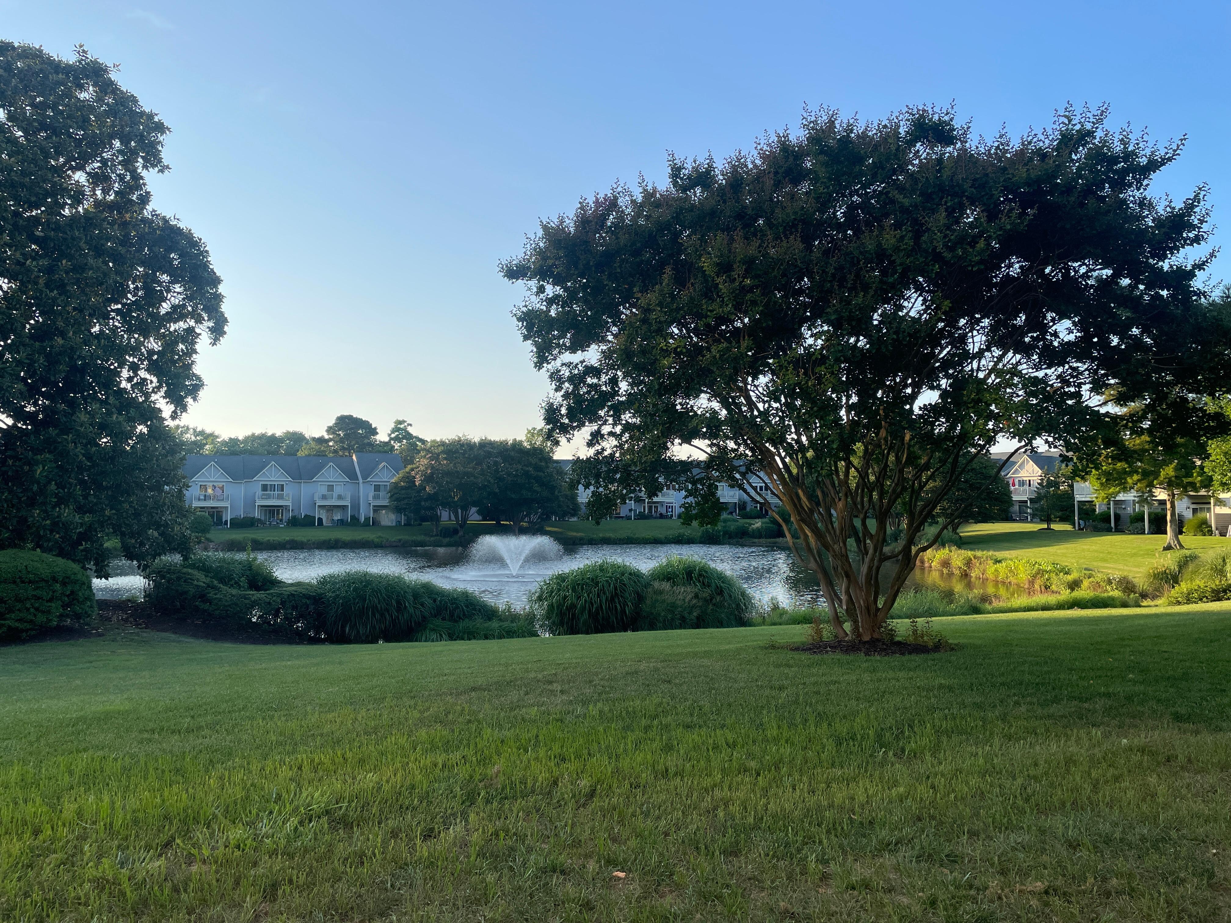 Lovely daytime view from the living room and patio table. 
