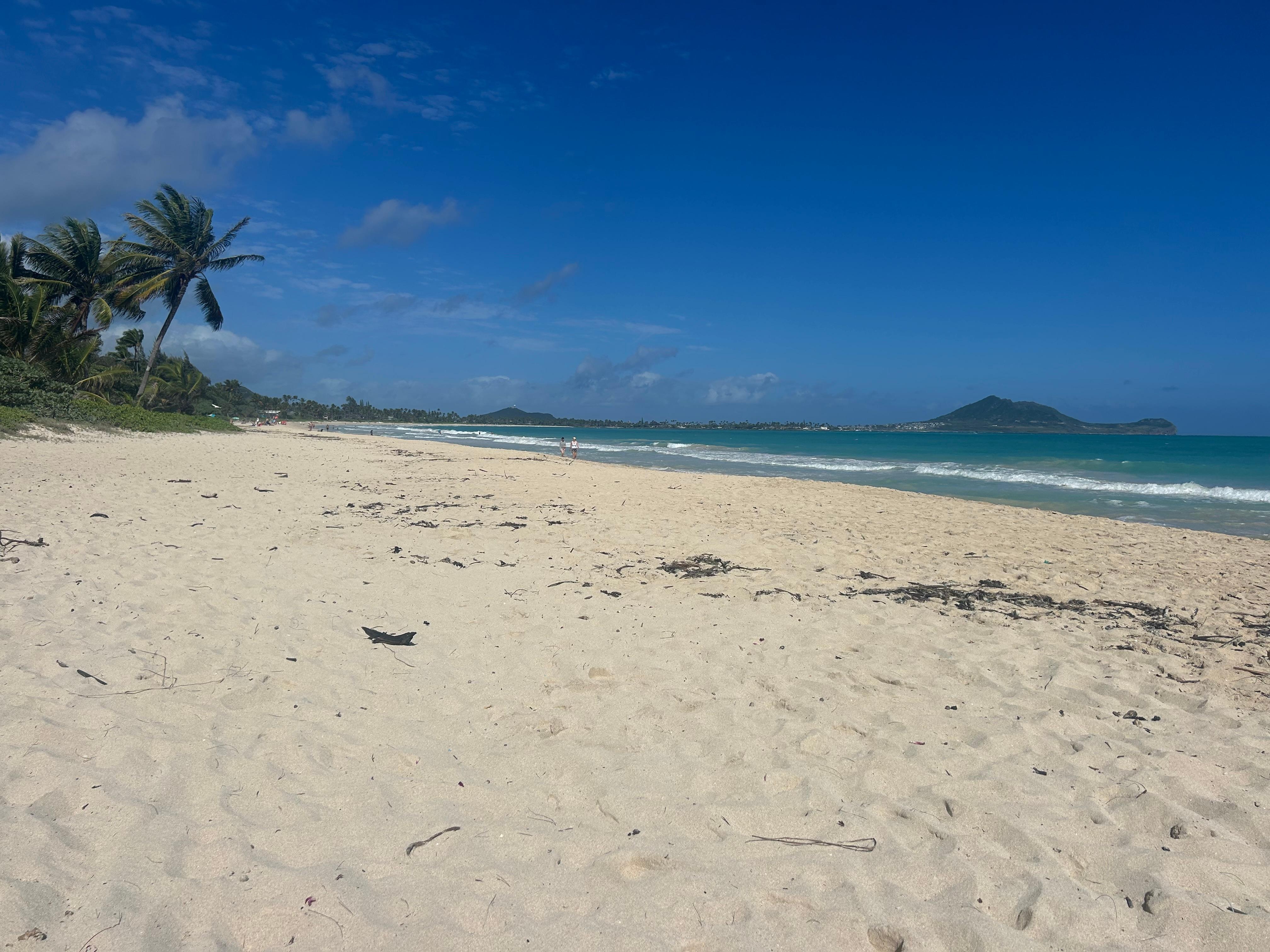 Beach right in front of house