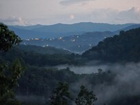 View from the back deck.