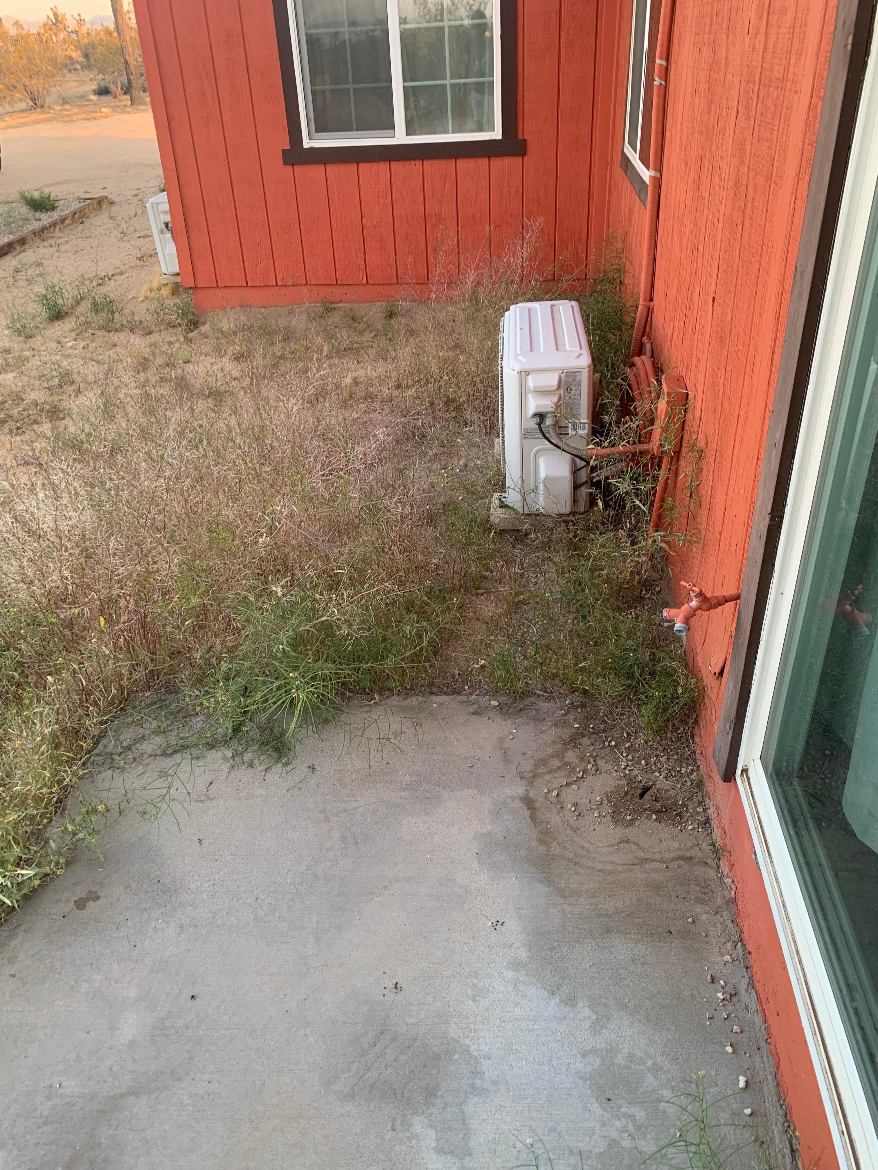 Weeds.
