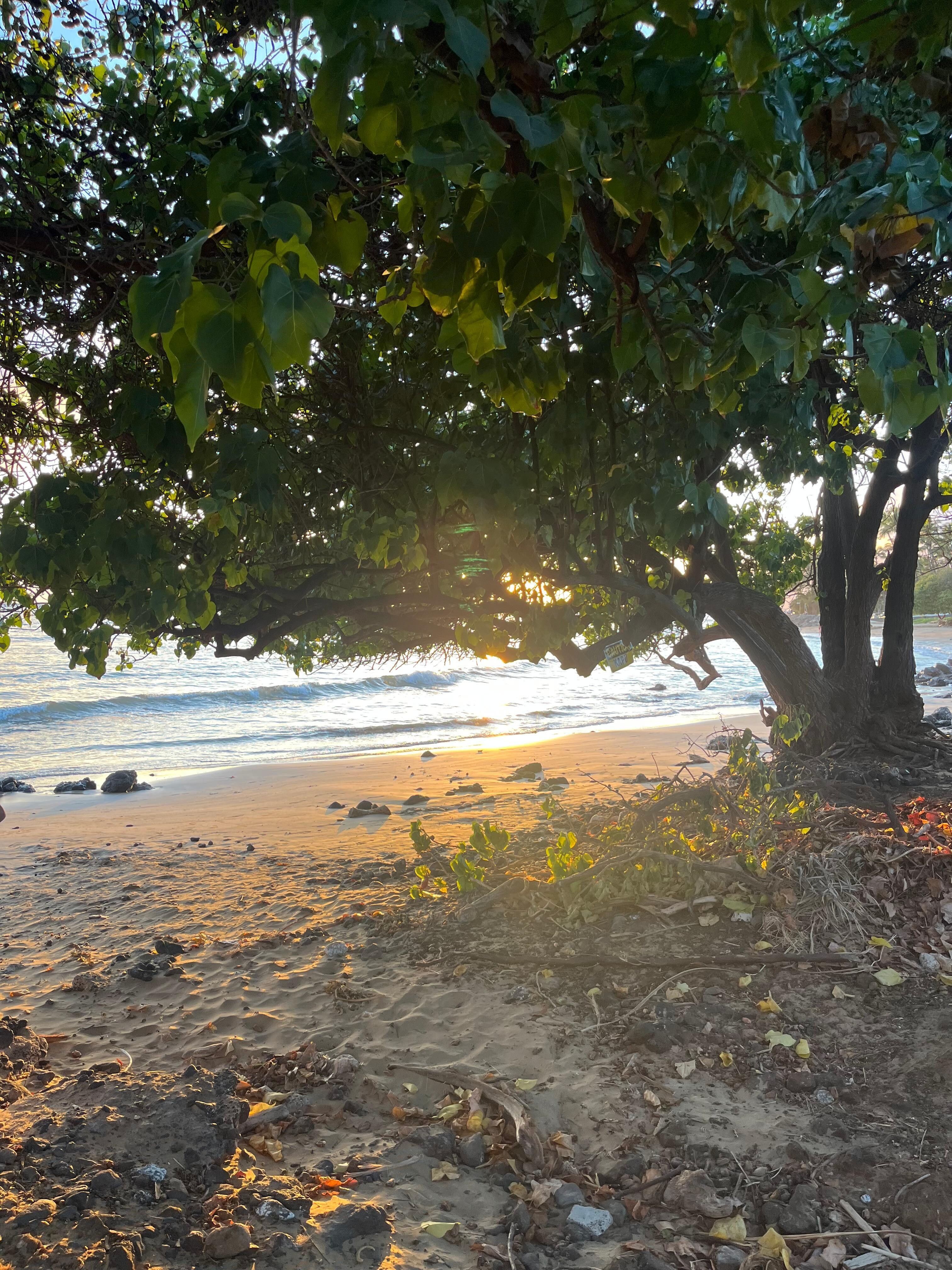 this beach is
down the street from the house 