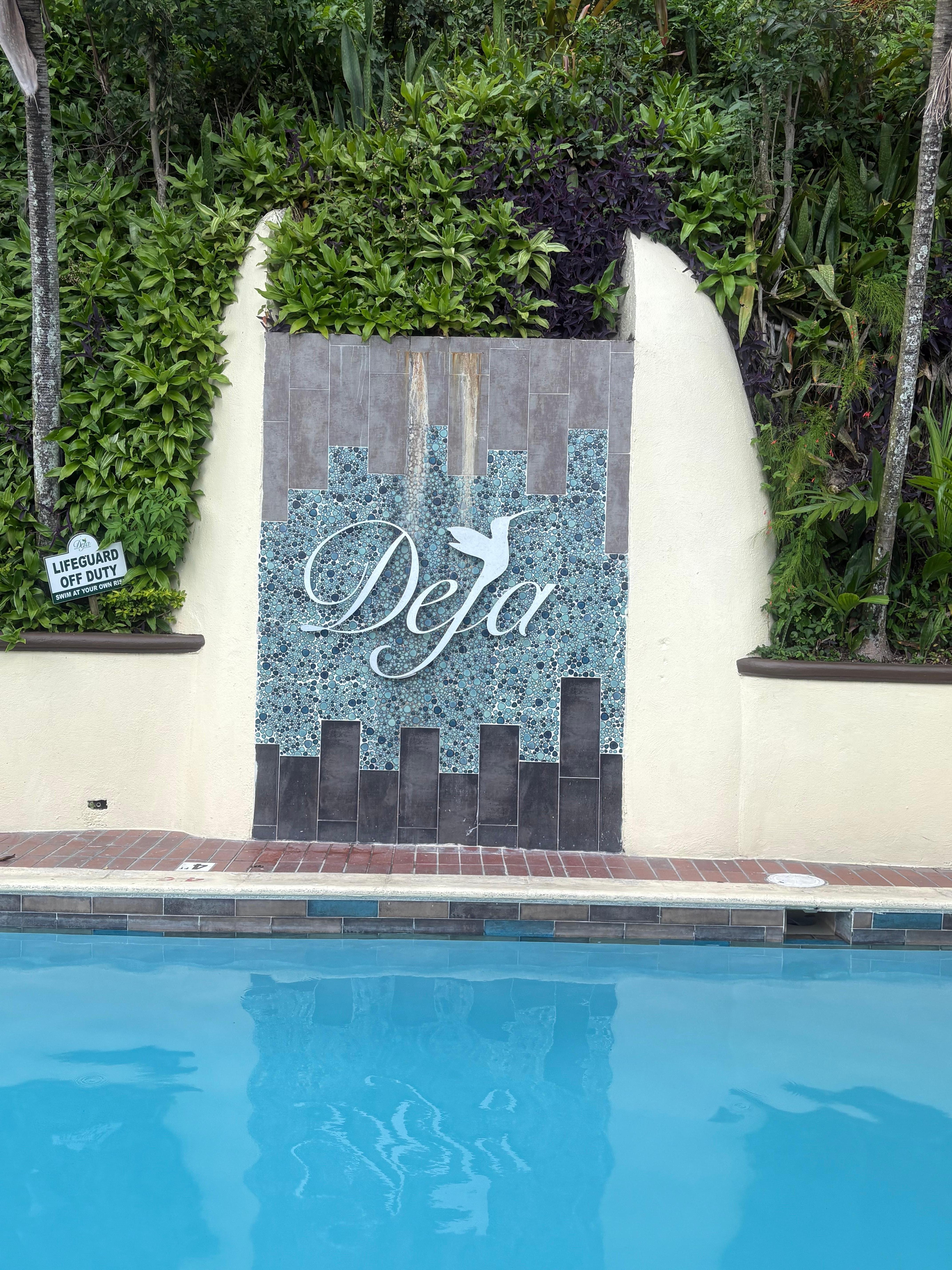 Pool with amazing serene views of tropical plants.