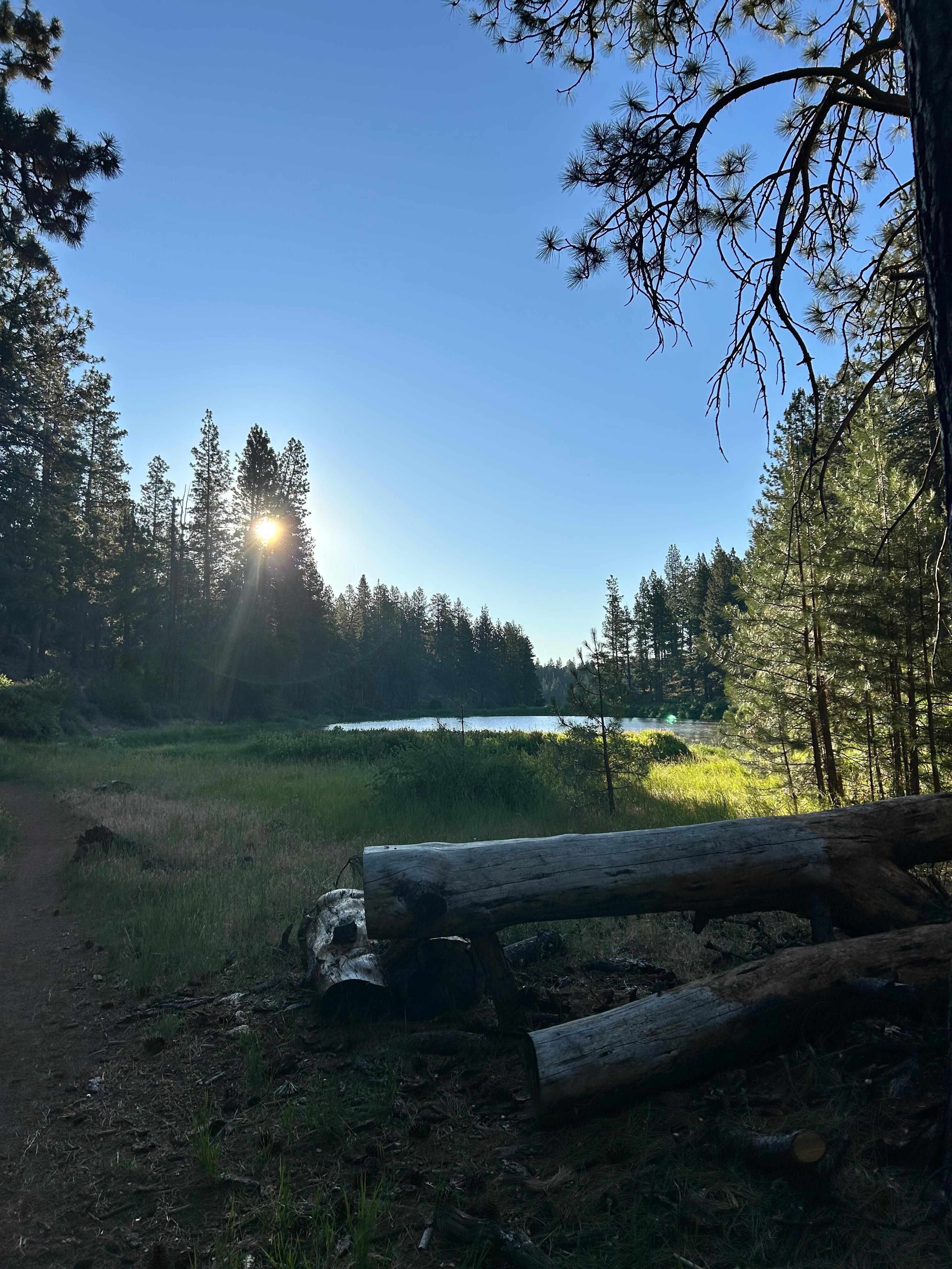 The pond below the property. 