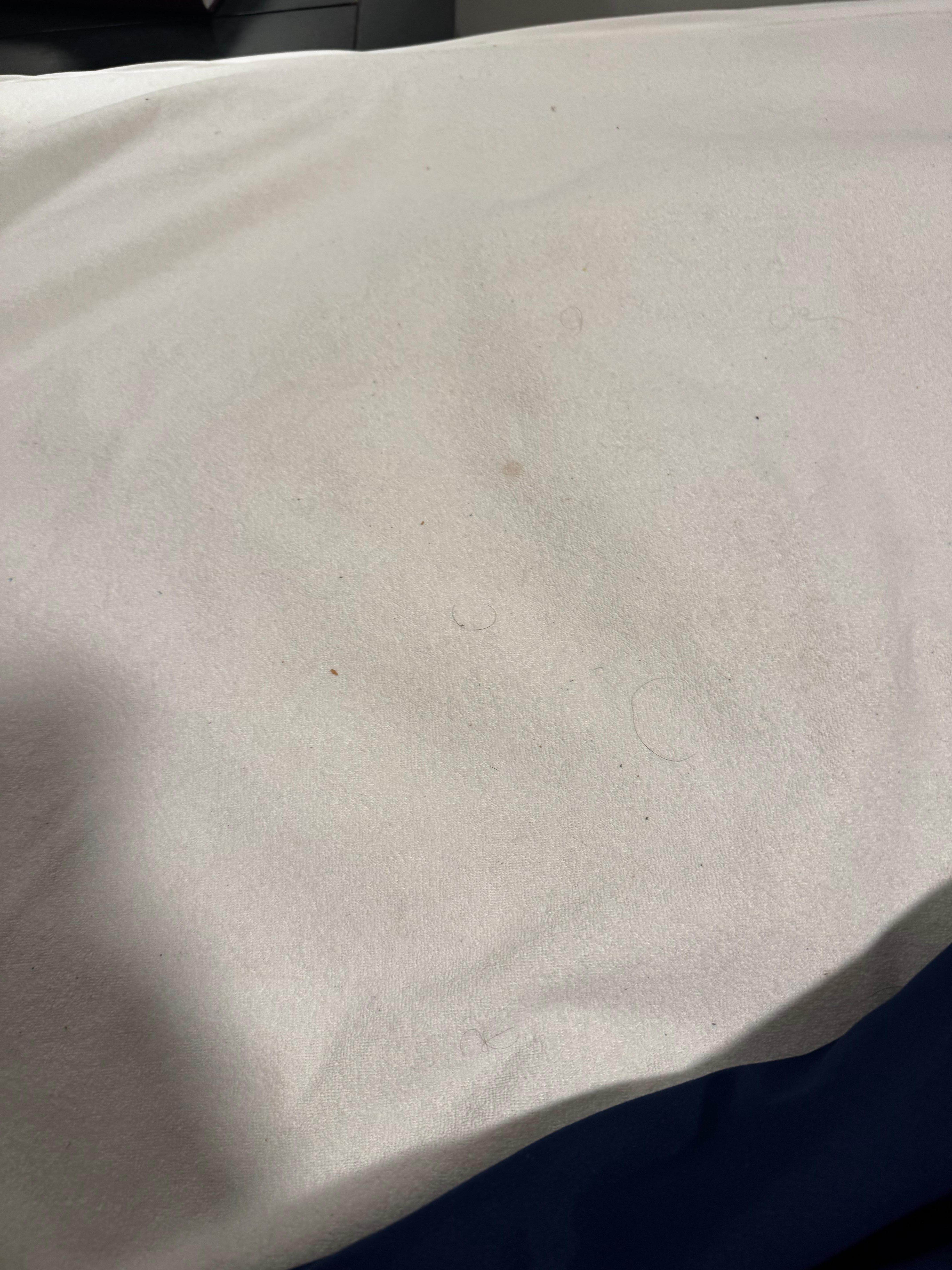 Filthy mattress cover