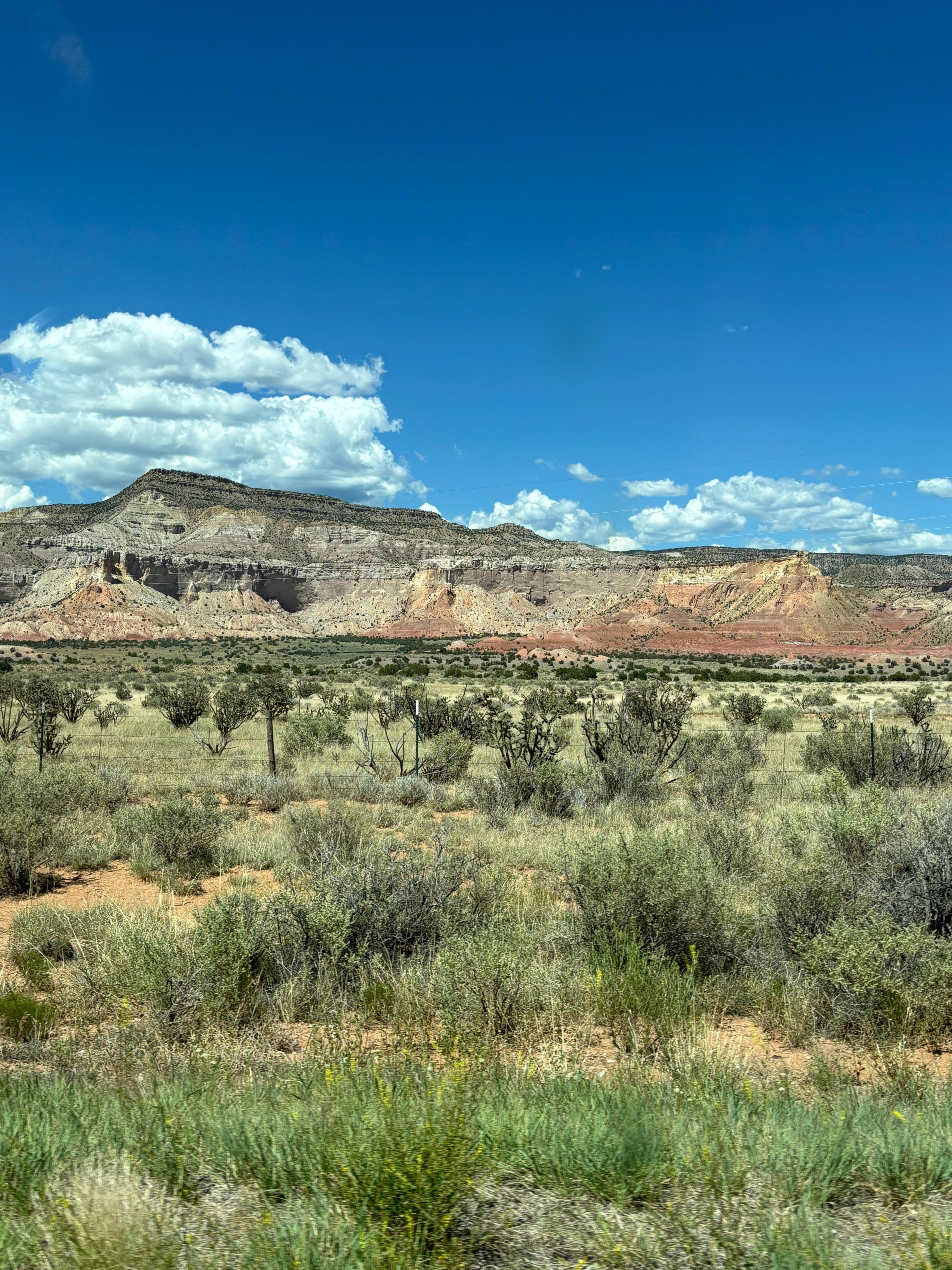 First look at New Mexico.