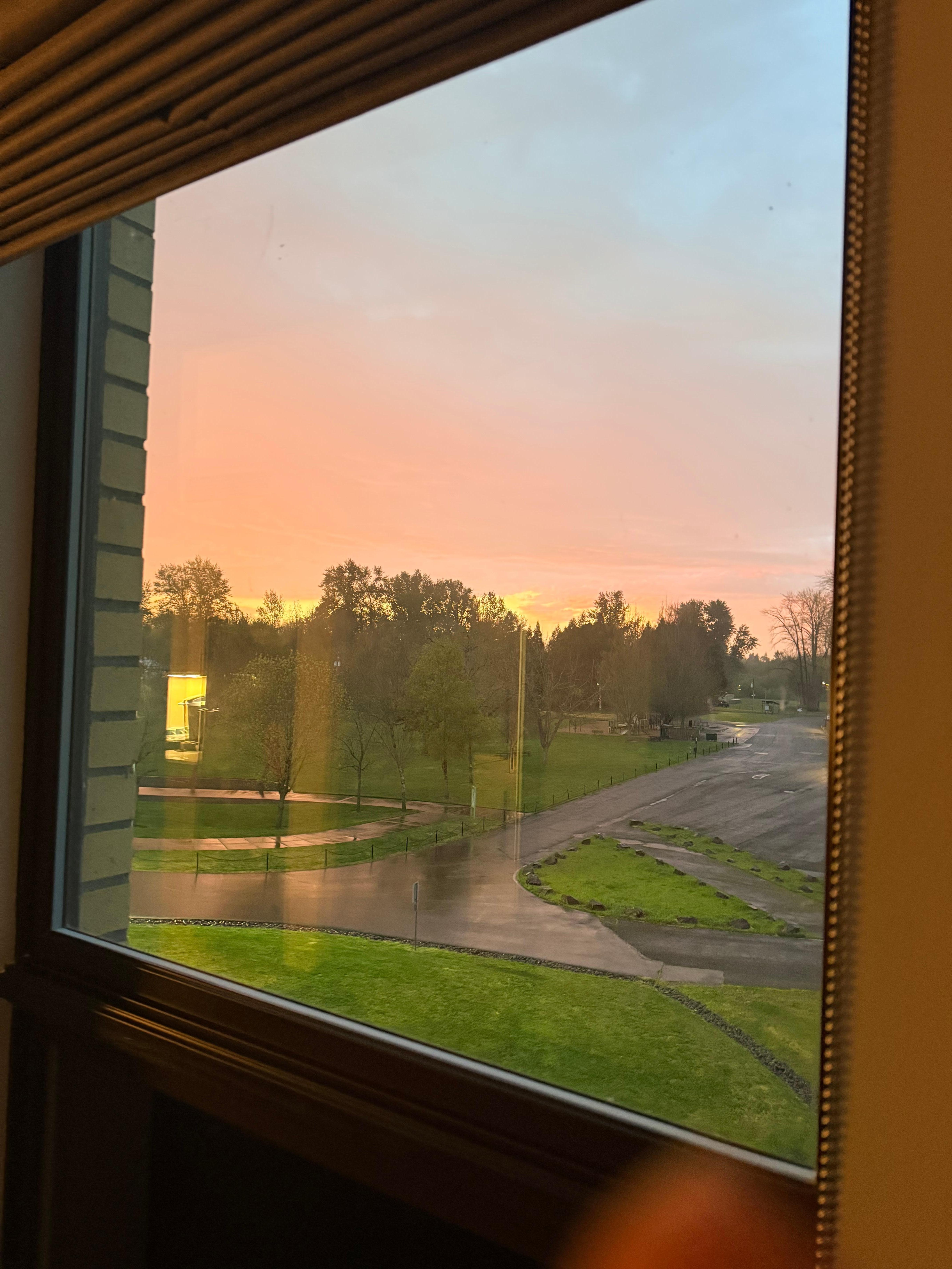 Looking out my window! 