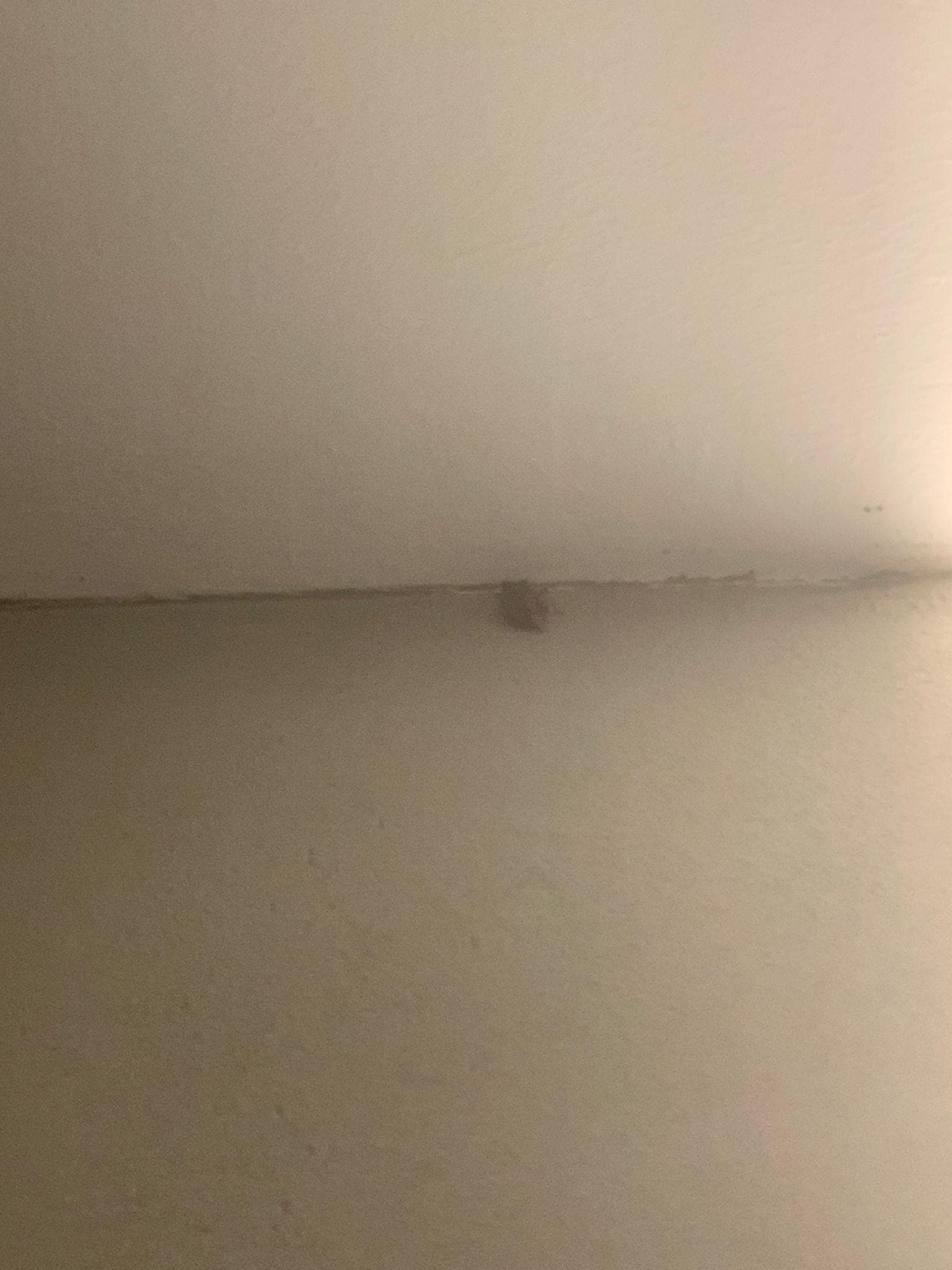 Insect in de gang