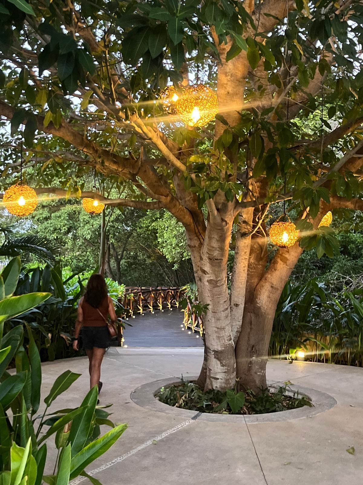 The walk to Codex…stunning! 