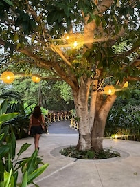 The walk to Codex…stunning!