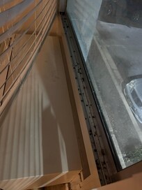 Stink bugs dead in window