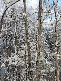 Snow was absolutely beautiful during our snow!