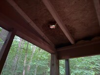 5" hole in screened porch