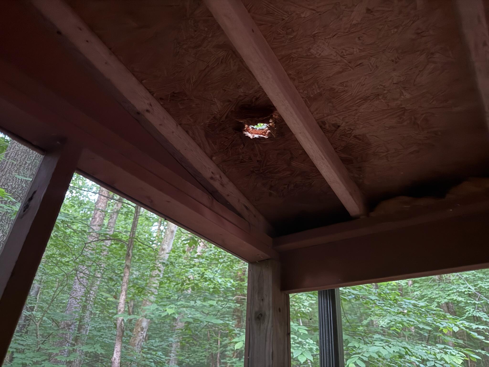 5" hole in screened porch