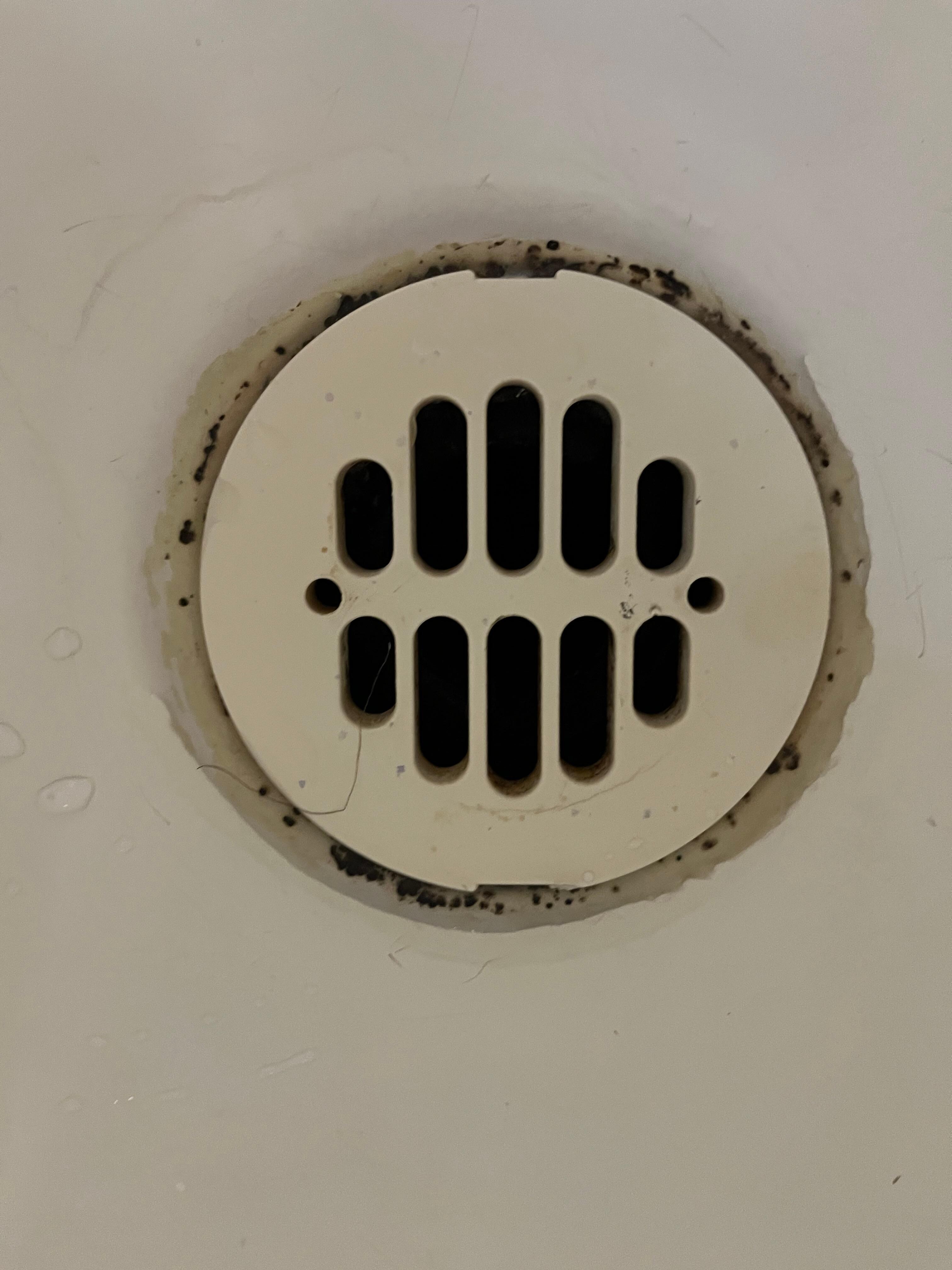Shower drain