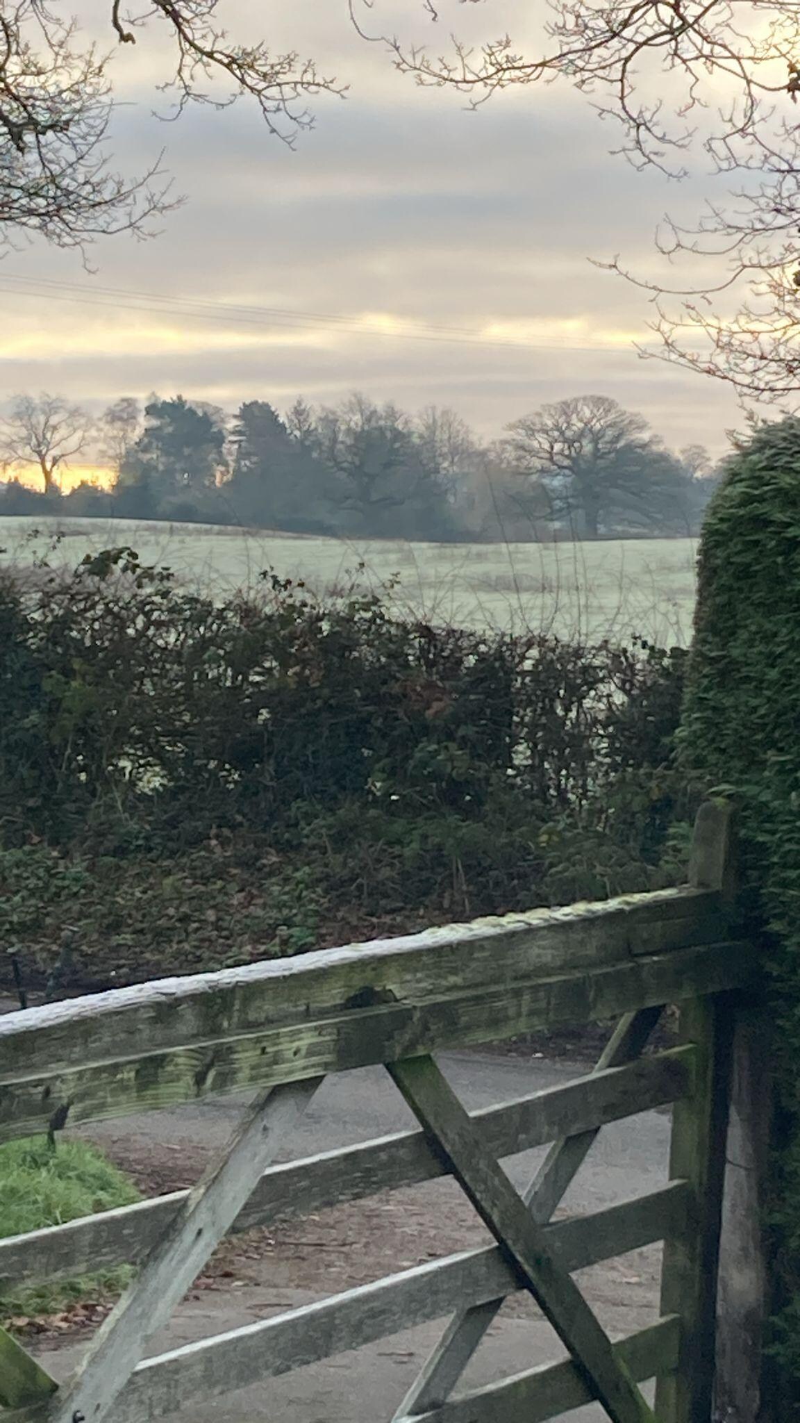 Frosty morning before dog walk 