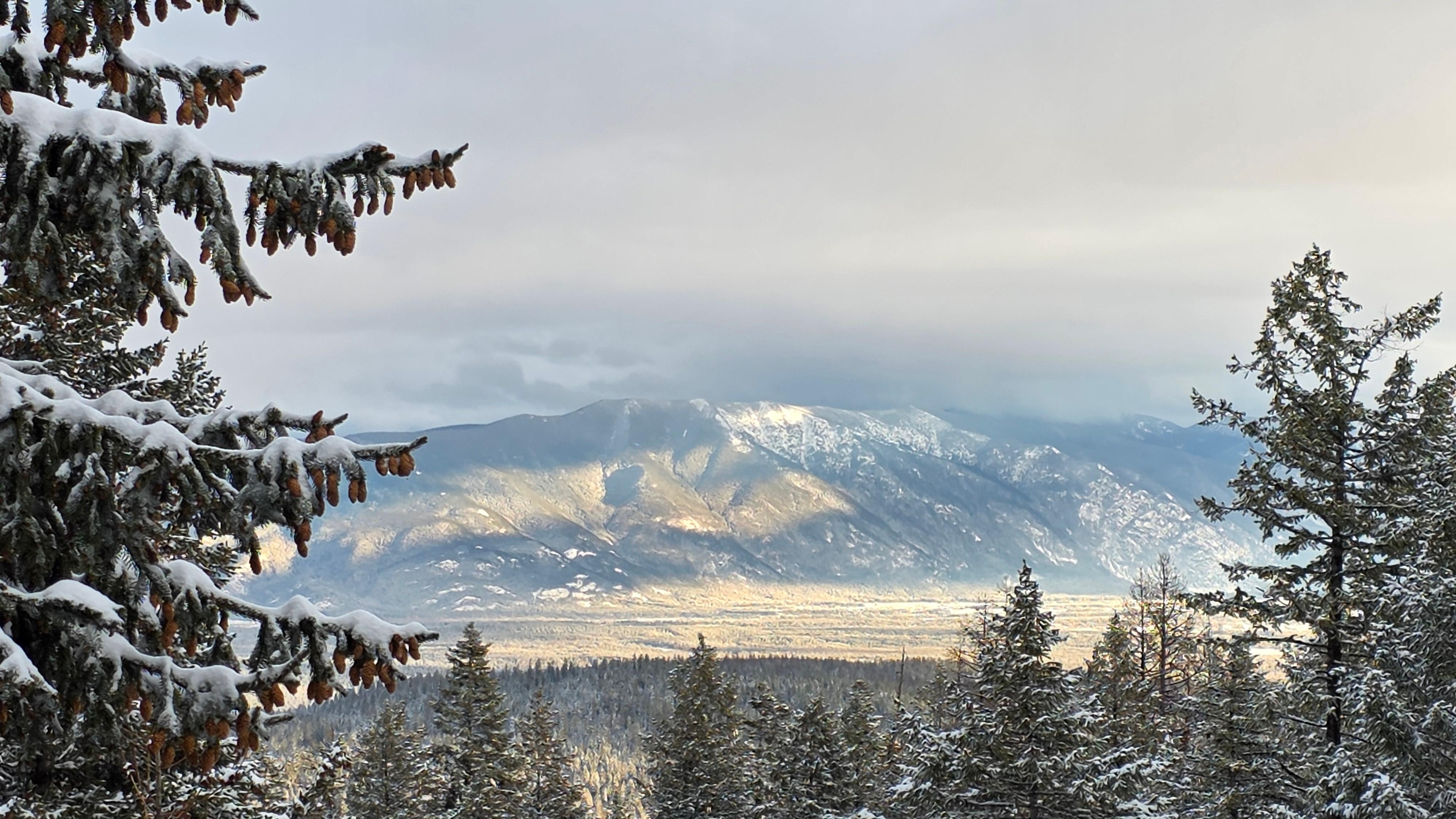 Views from the house / hot tub