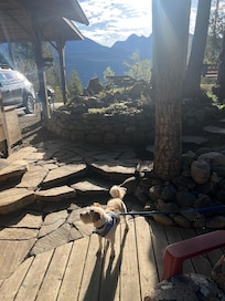 Our pup enjoyed the walk around